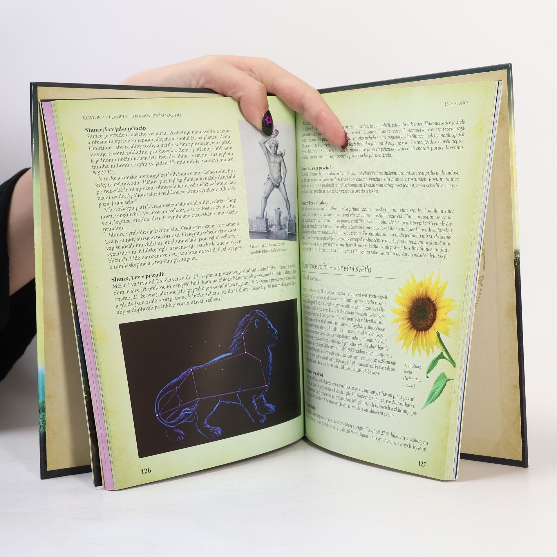 Yvonne H. Koch Astrologie rostlin : léčivá síla rostlin a planet