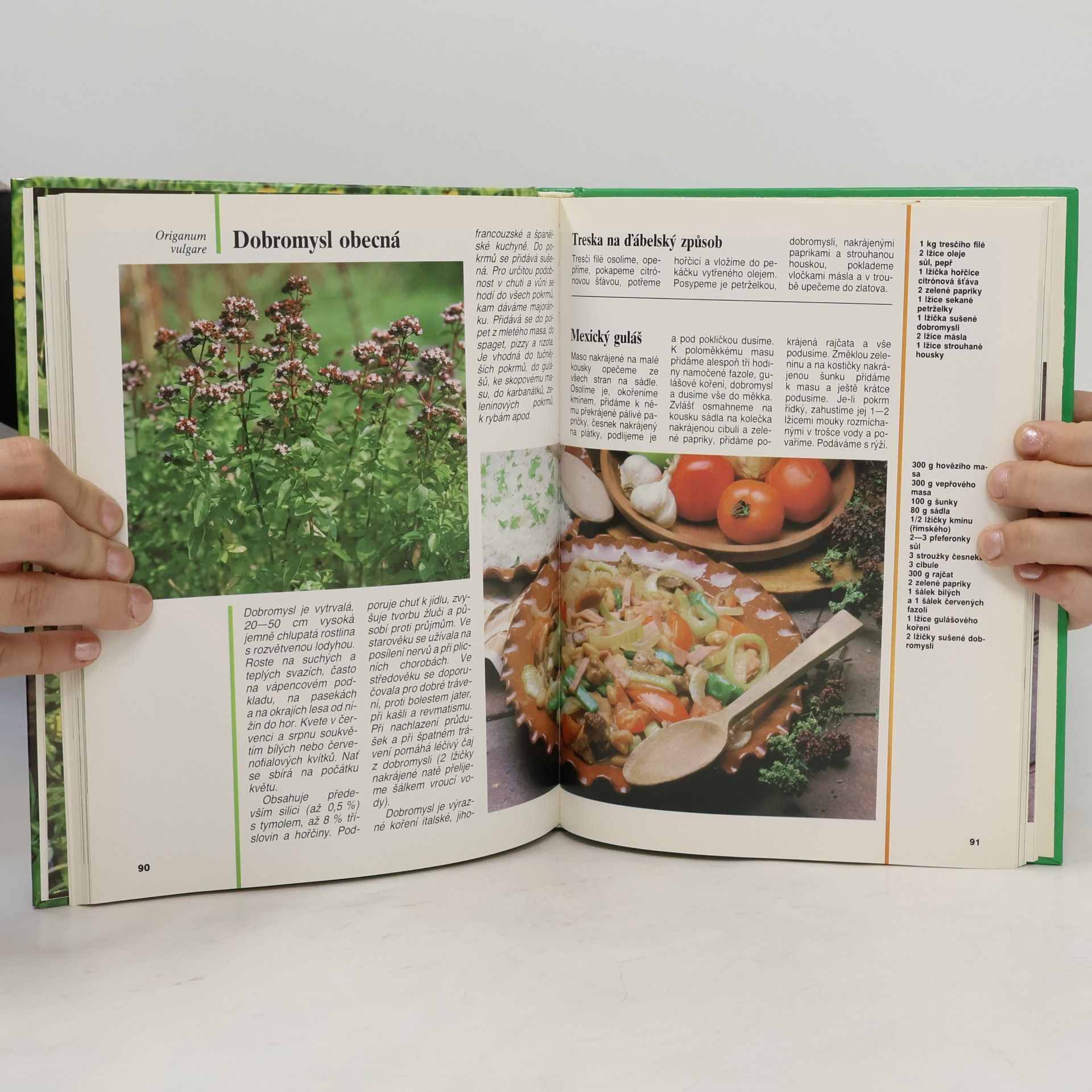 Dagmar Lánská Plané rostliny v kuchyni