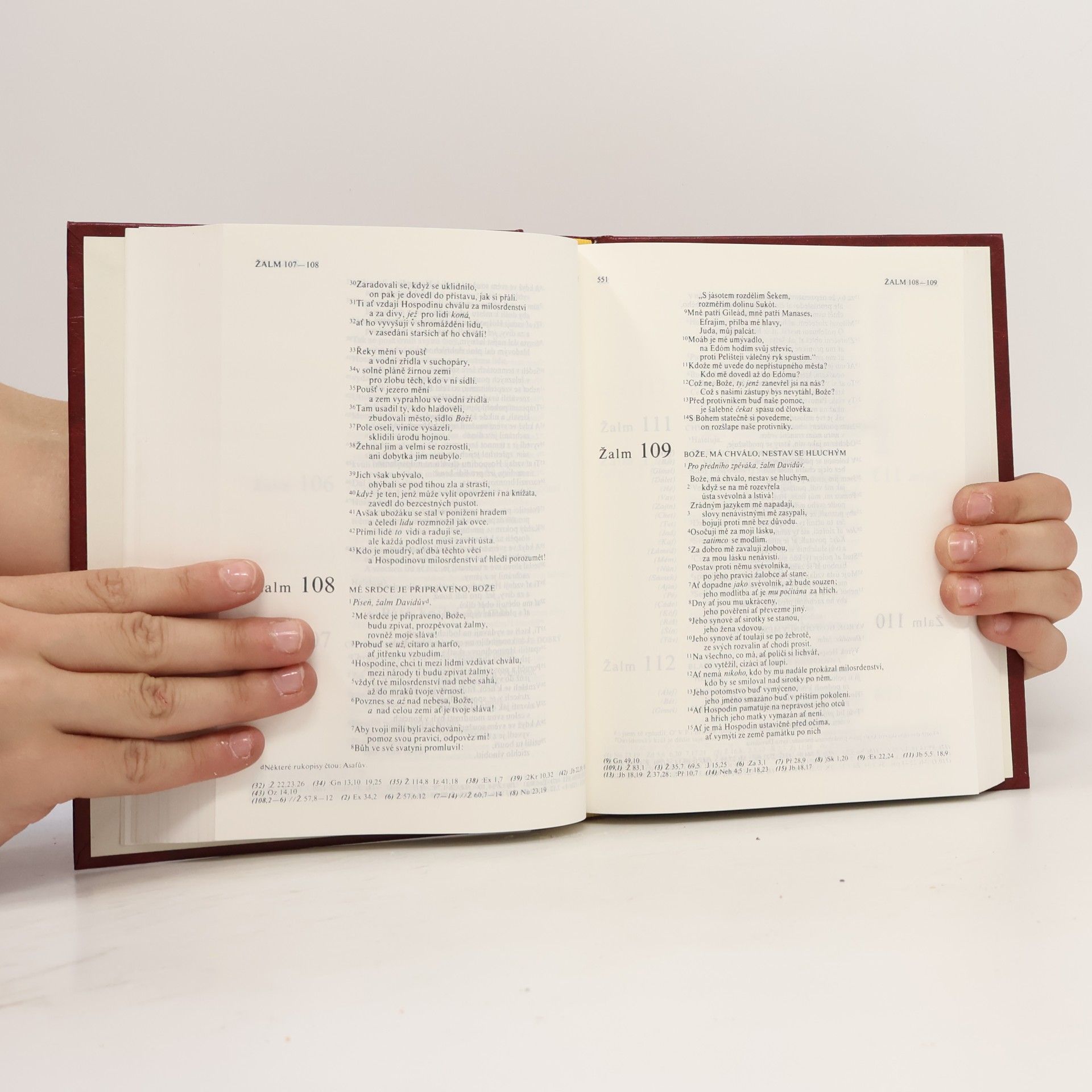 Autorenkollektiv Bible. Písmo svaté Starého i Nového zákona. Ekumenický překlad