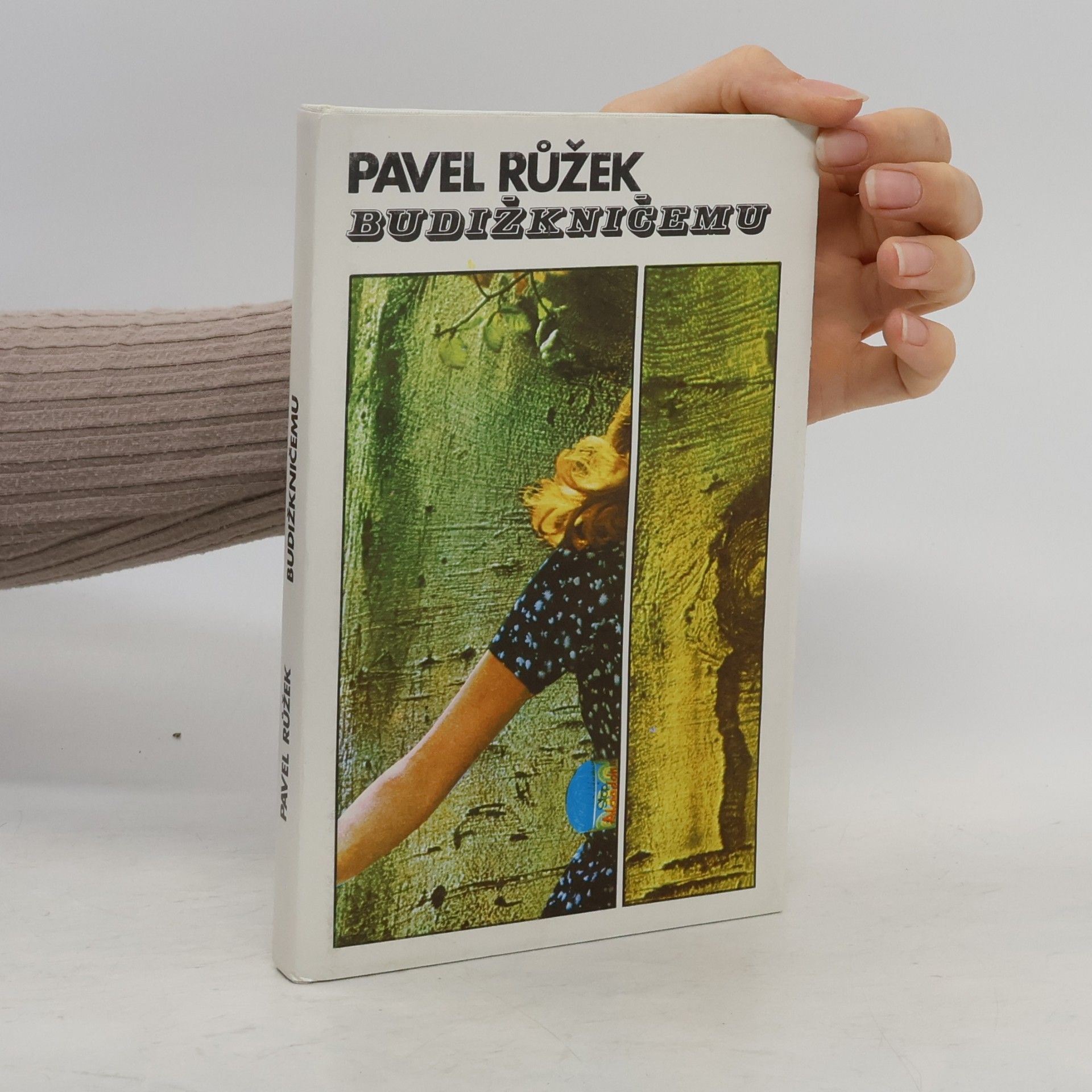 Pavel Růžek Budižkničemu