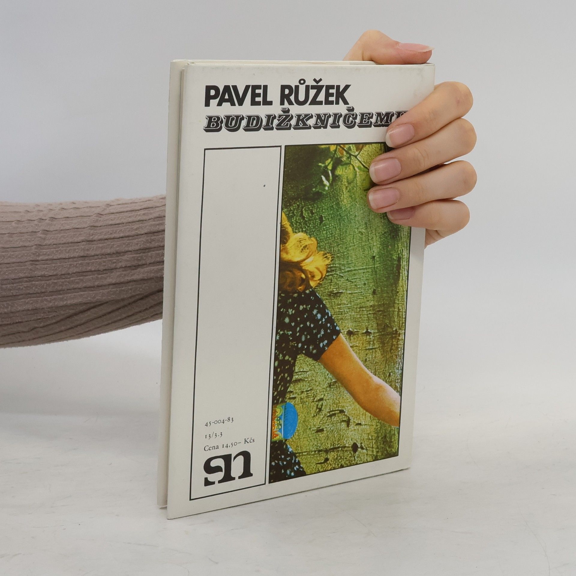 Pavel Růžek Budižkničemu