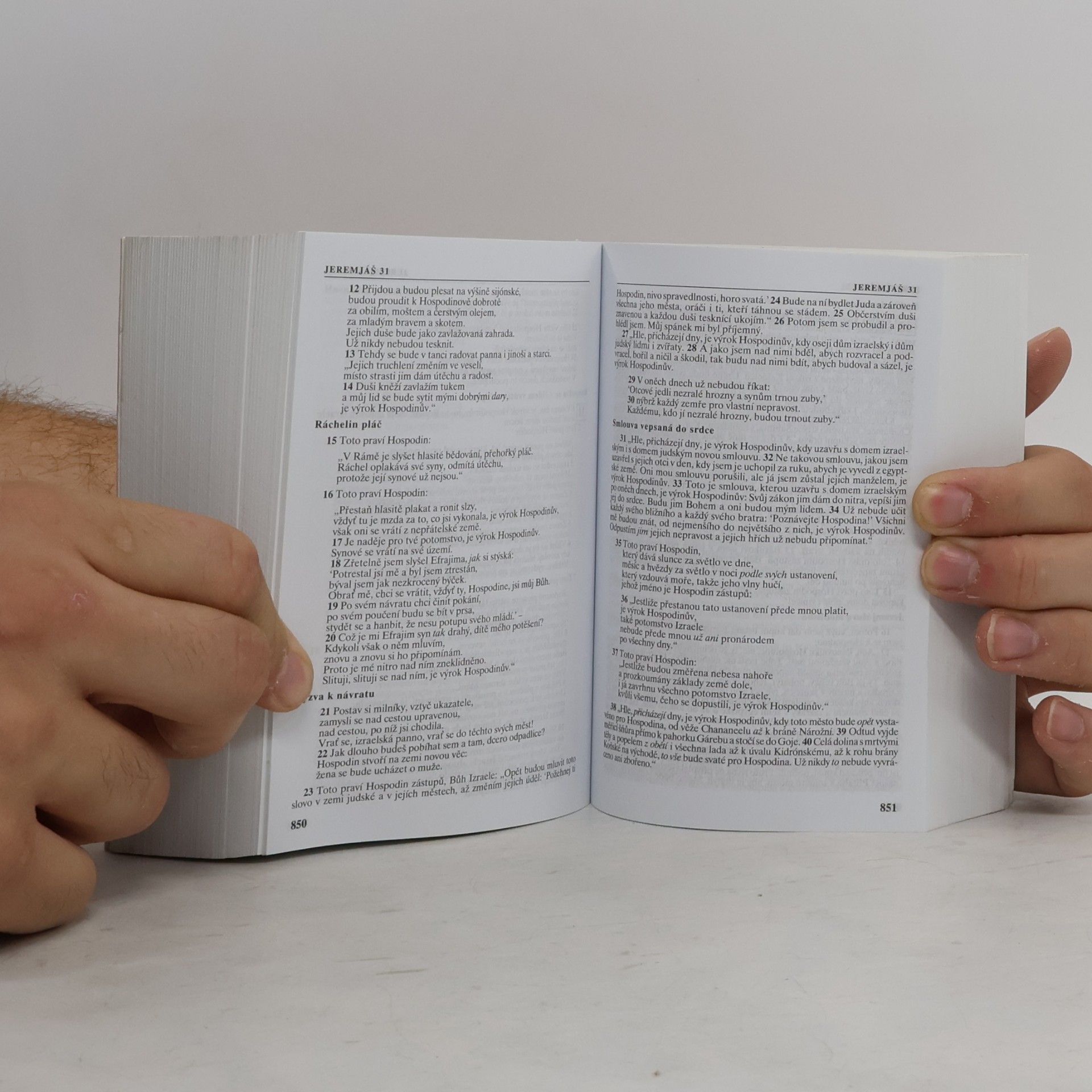 Jindřich Mánek Bible: Písmo svaté Starého a Nového zákona : český ekumenický překlad
