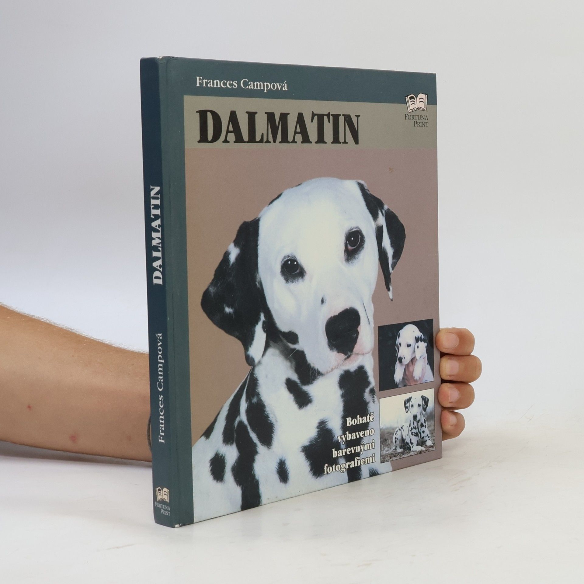 Frances Camp Dalmatin