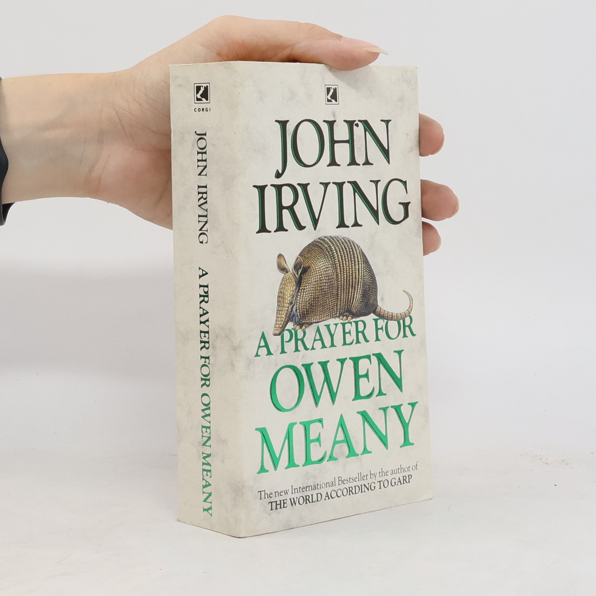 John Irving A Prayer for Owen Meany