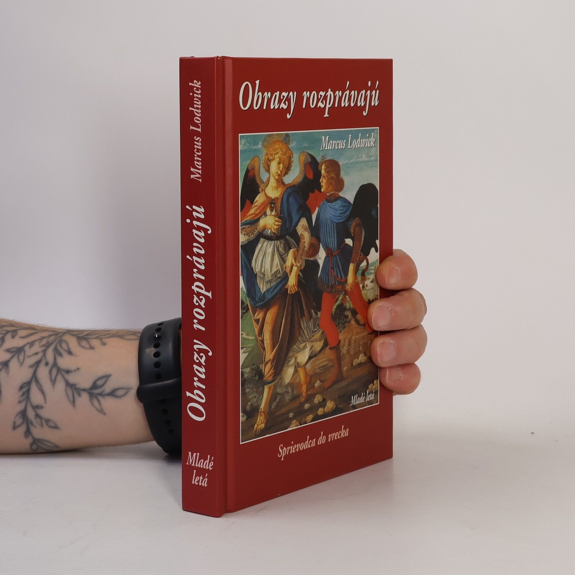 Marcus Lodwick Obrazy rozprávajú : sprievodca do vrecka