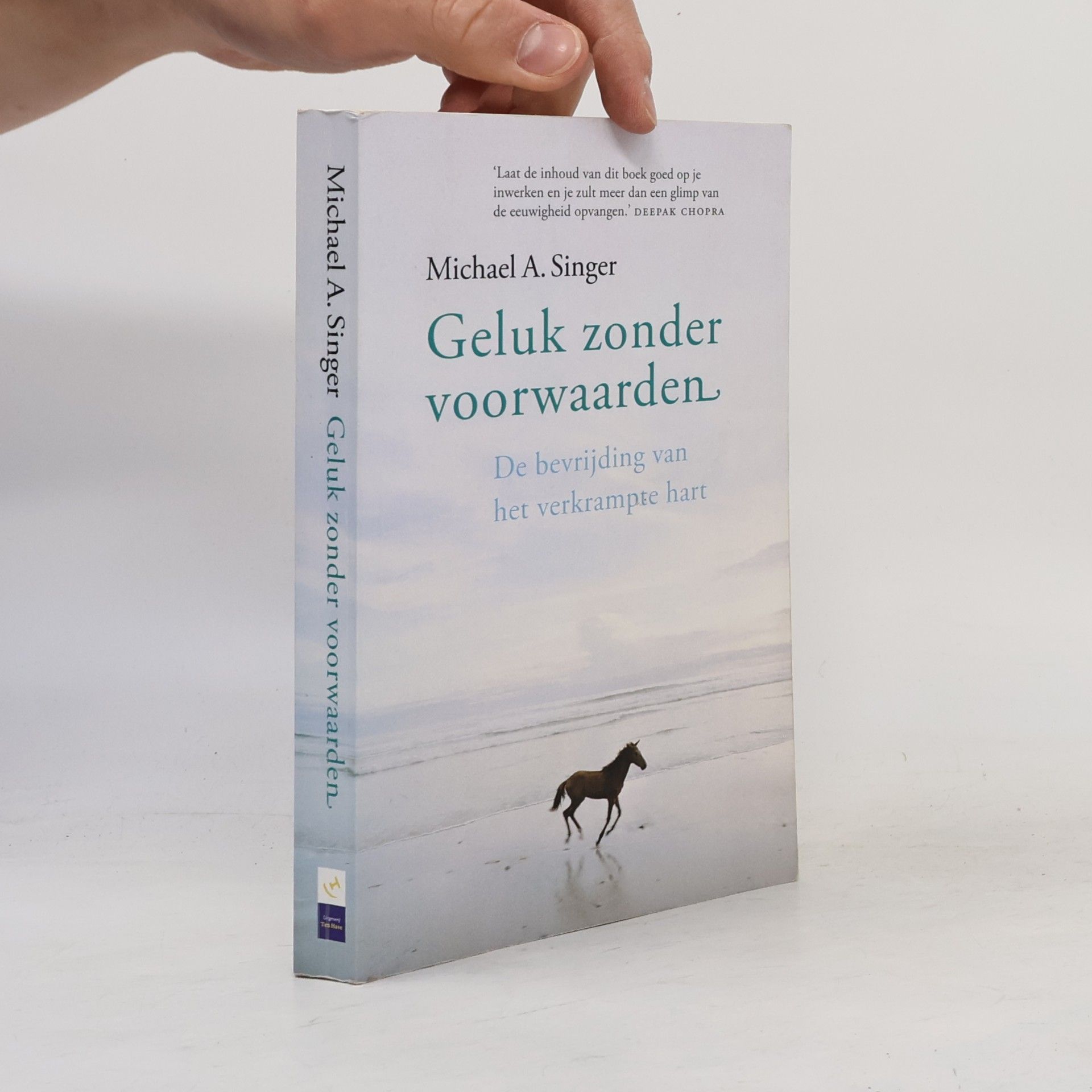 George Hulskramer Geluk zonder voorwaarden