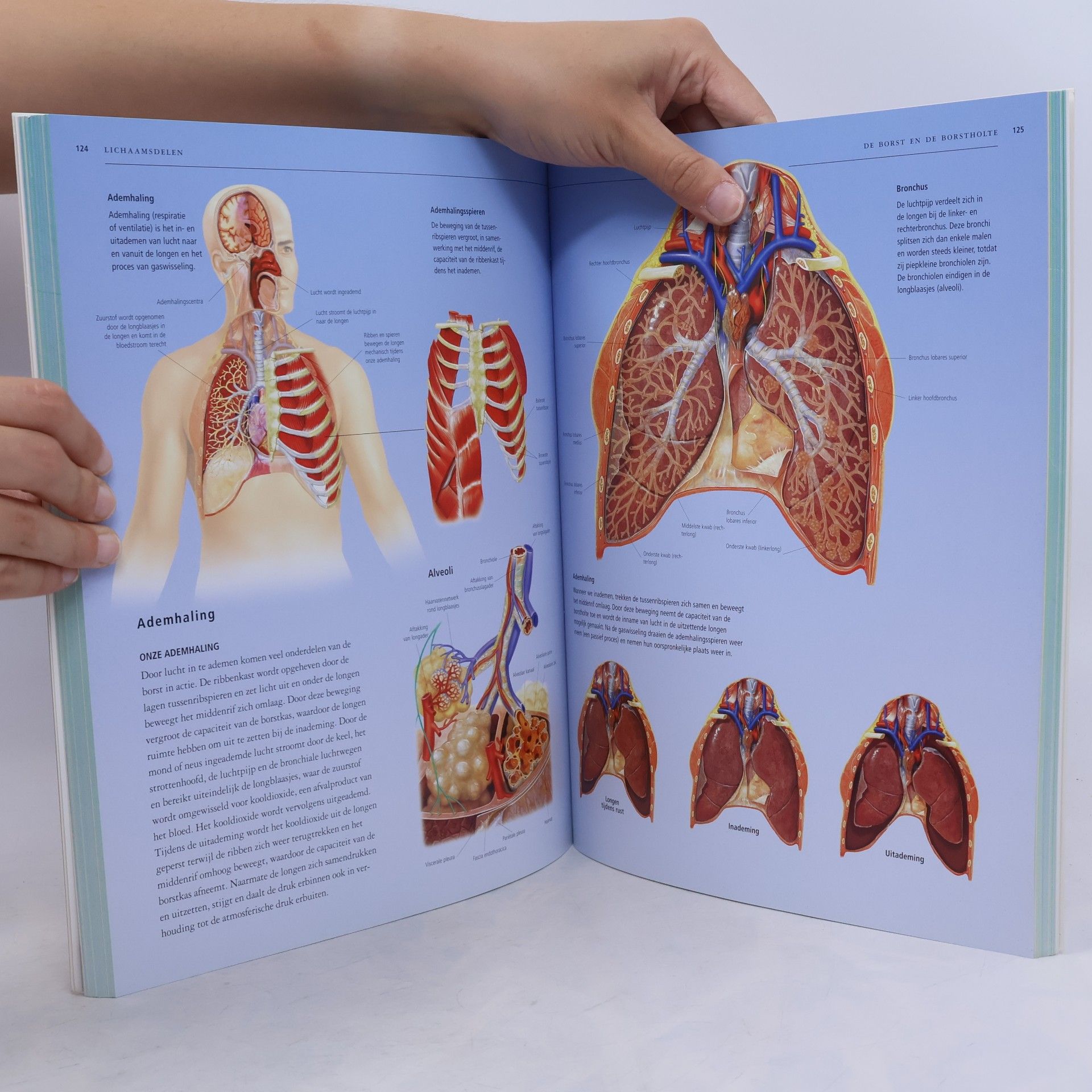 Various authors De atlas van het menselijk lichaam