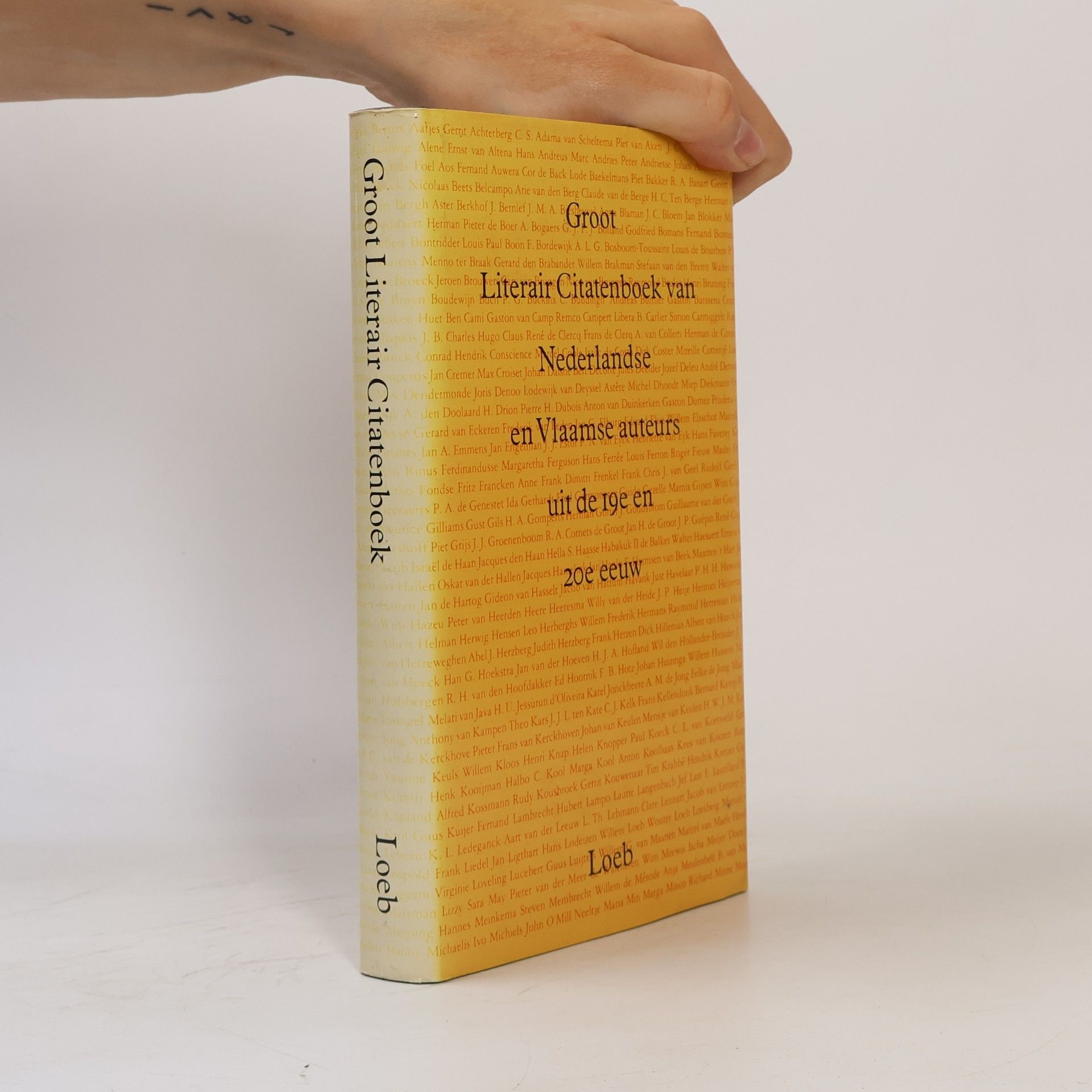 Kolektiv autorů Groot literair citatenboek van Nederlandse en Vlaamse auteurs uit de 19e en 20e eeuw