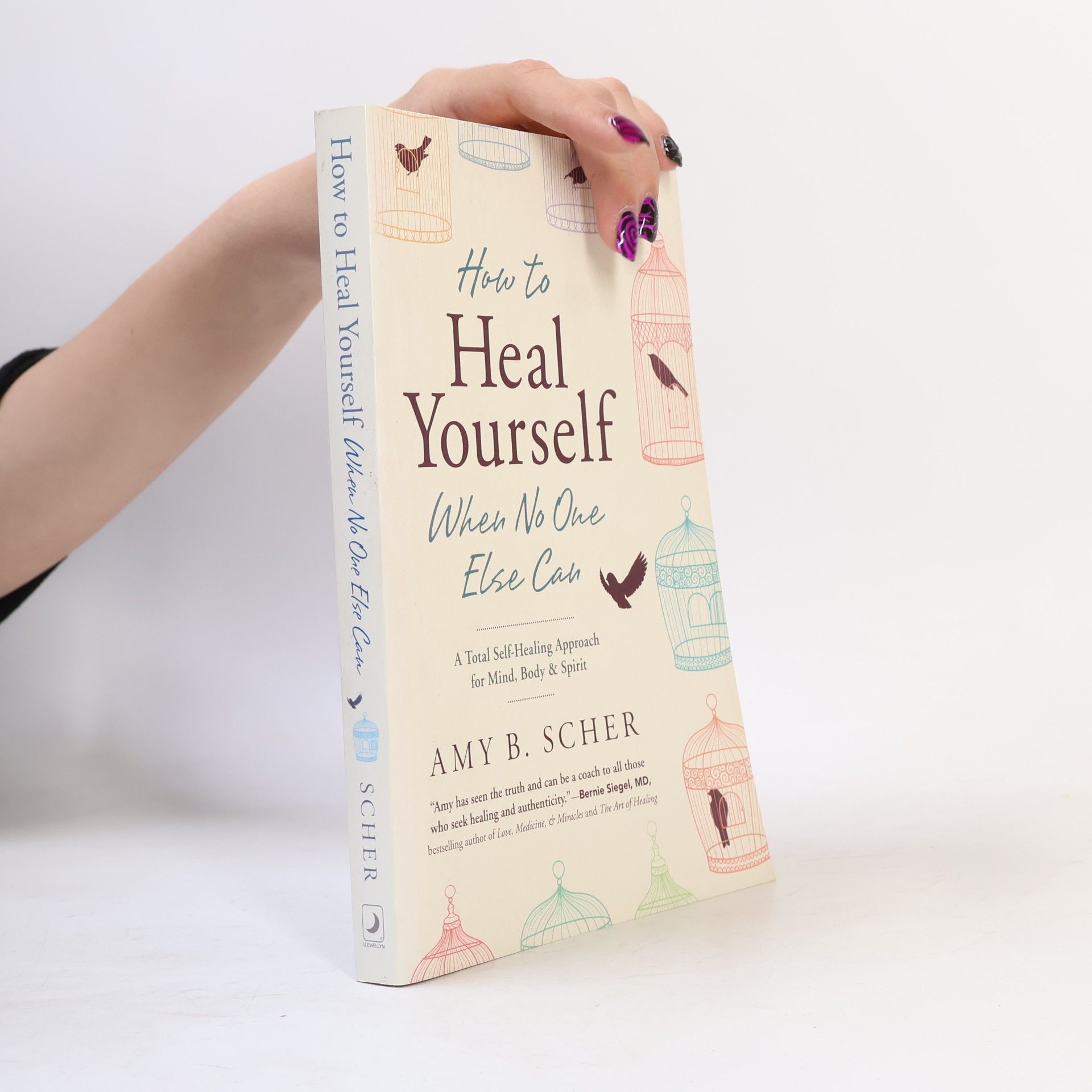 Amy B. Scher How to Heal Yourself when No One Else Can