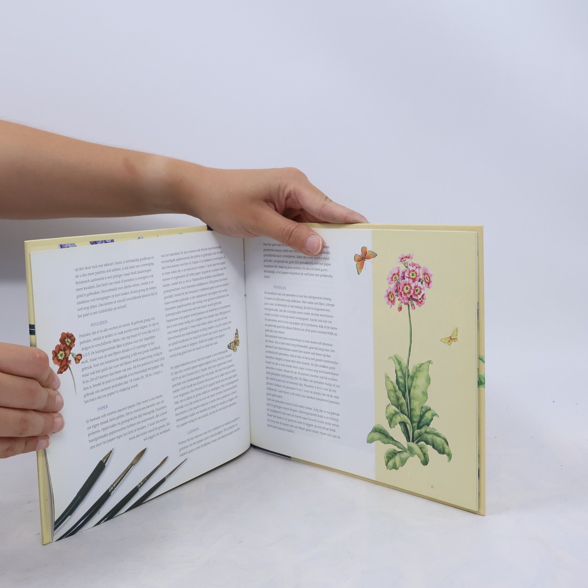 Autores varios Bloemen in waterverf