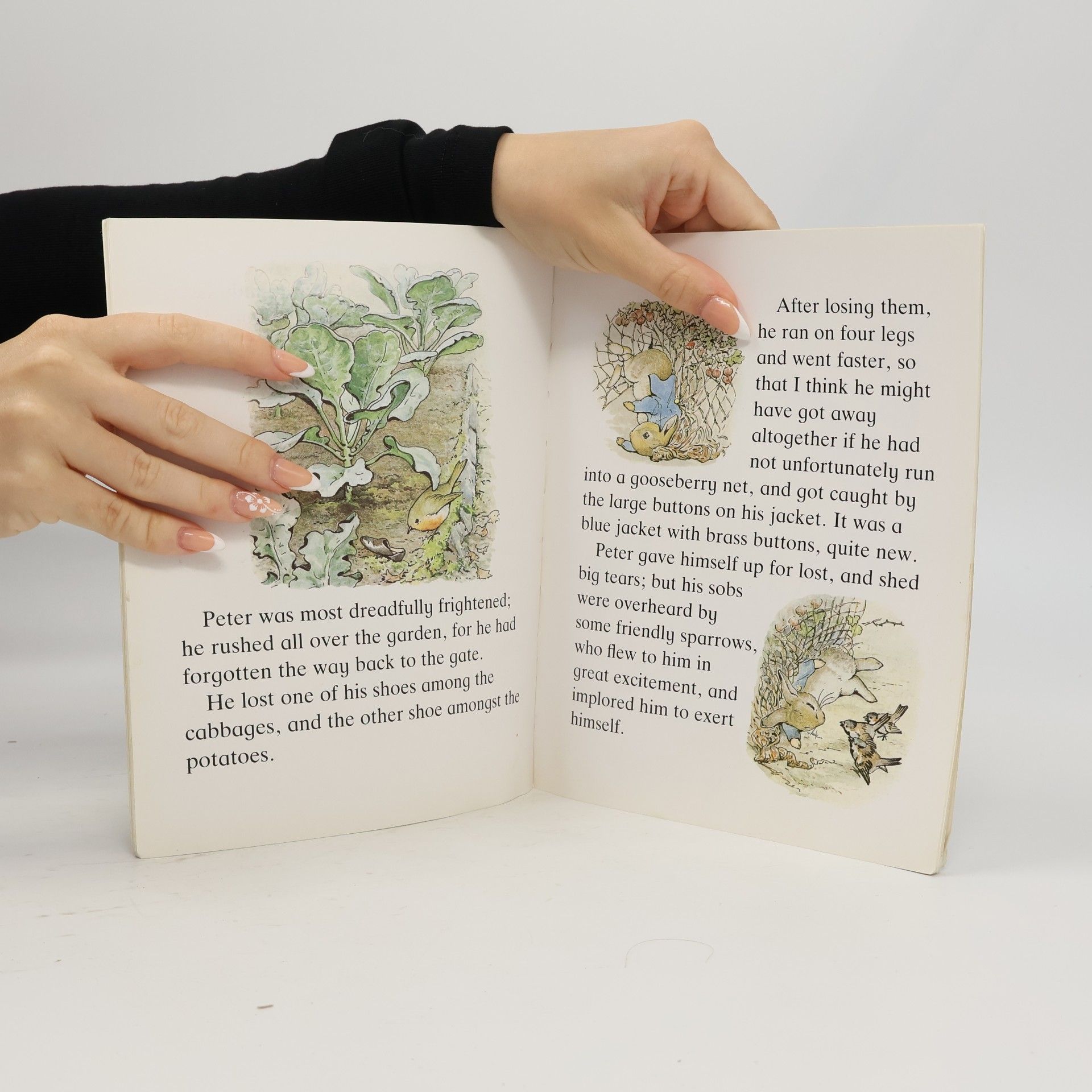 Beatrix Potter The Tale of Peter Rabbit