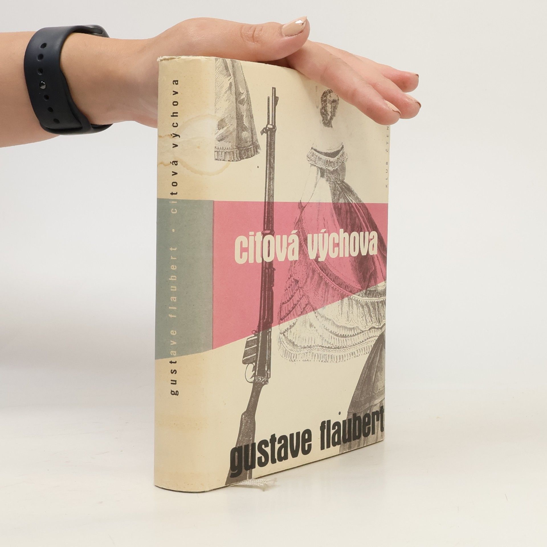 Gustave Flaubert Citová výchova