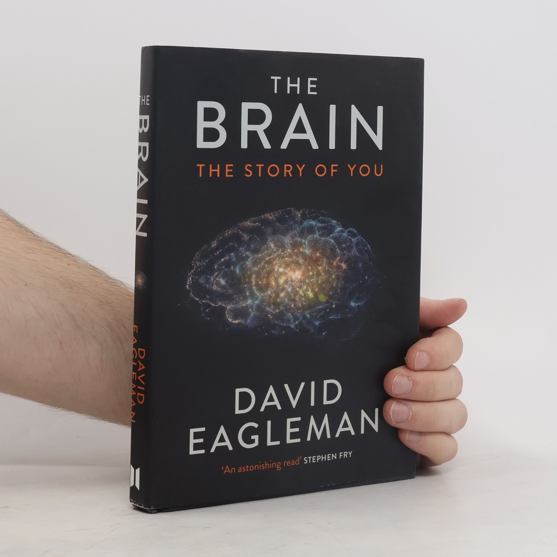 David Eagleman The Brain