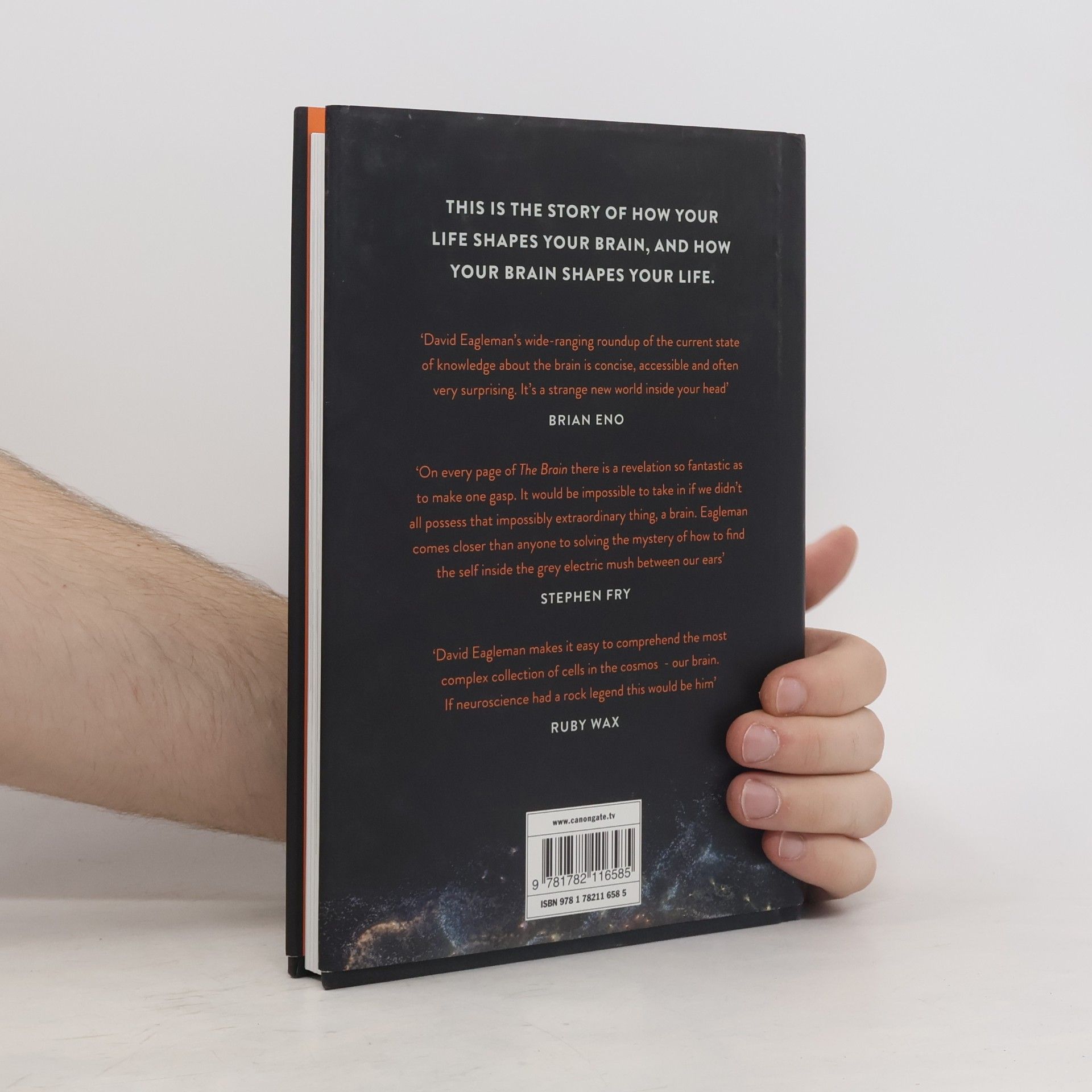 David Eagleman The Brain