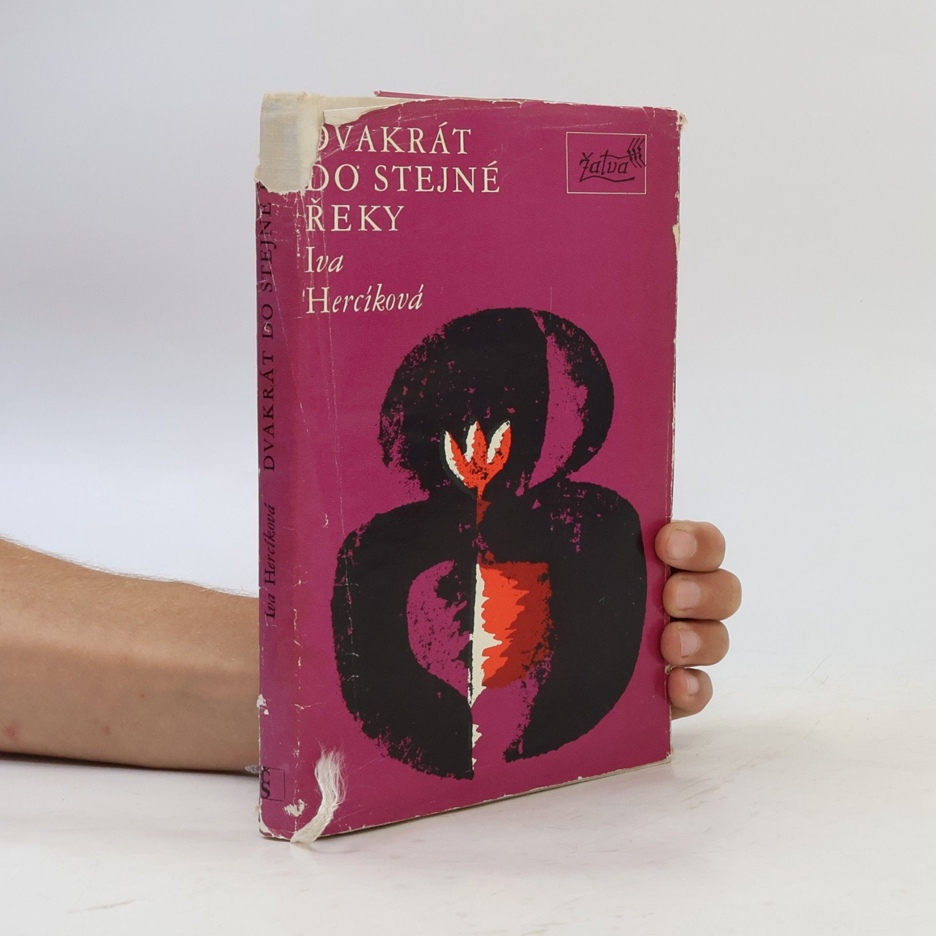Iva Hercíková Dvakrát do stejné řeky