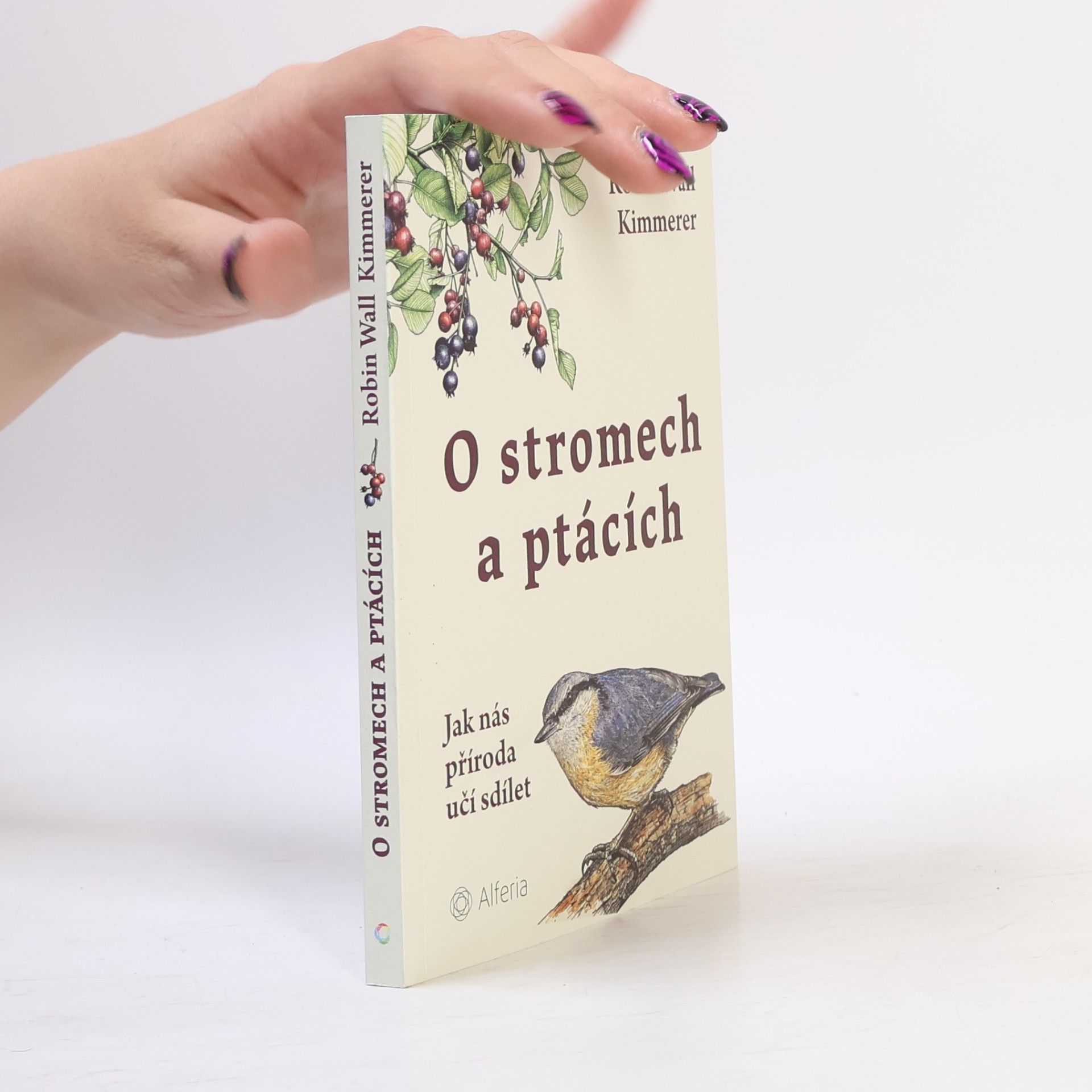 O stromech a ptácích