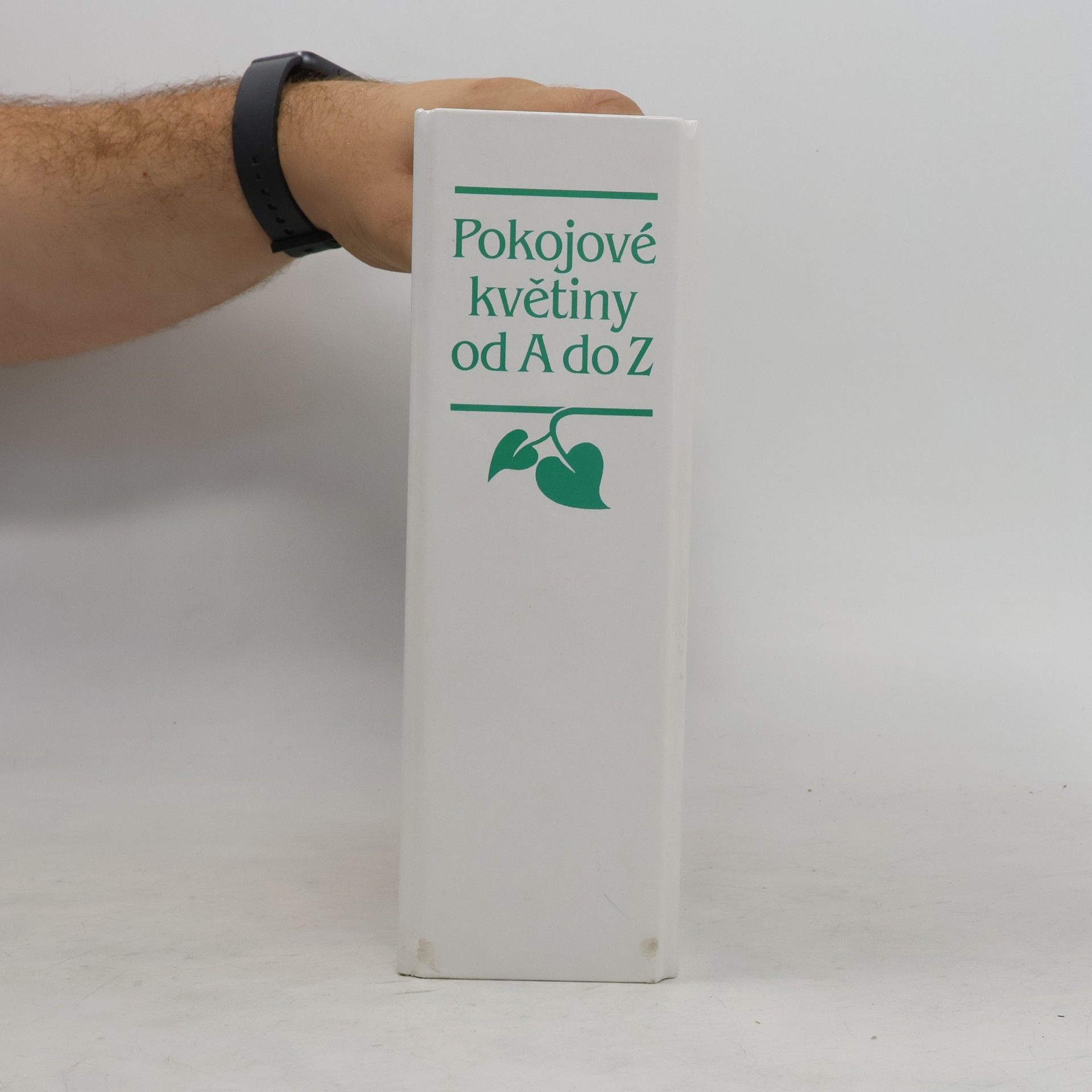 Kolektiv autorů Pokojové květiny od A do Z
