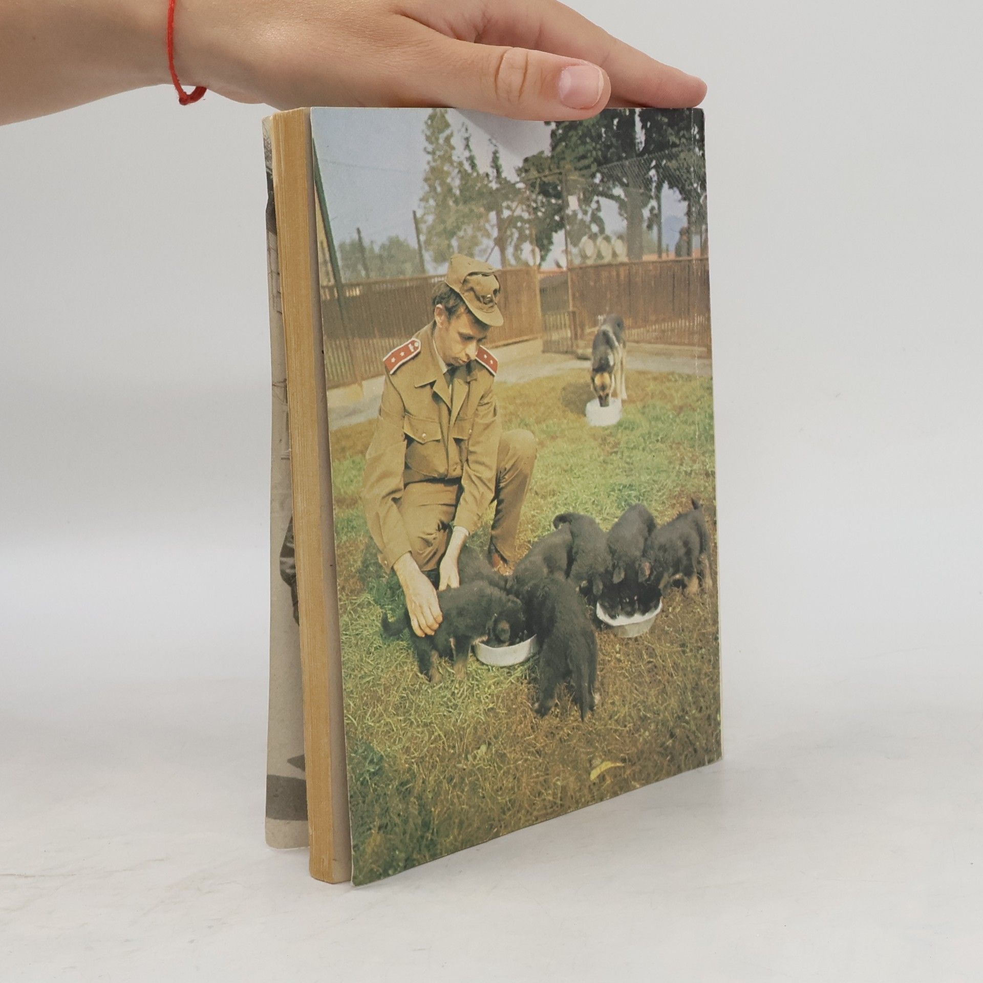 Collectif d'auteurs B '84. Bezpečnost