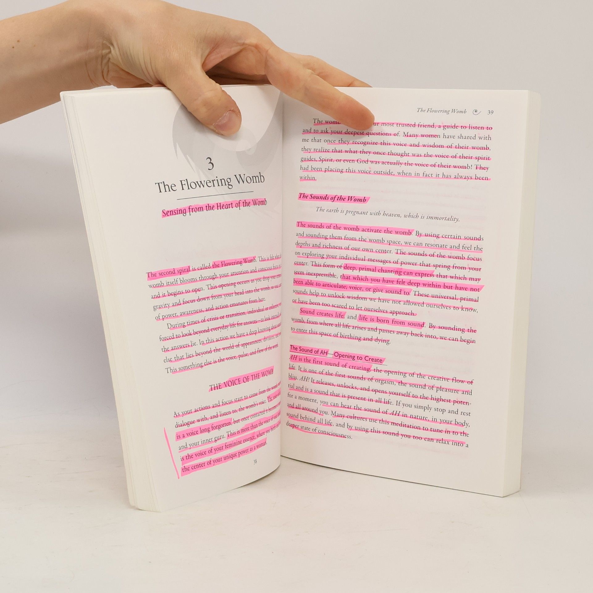 Autorenkollektiv Womb Wisdom: Awakening the creative and Forgotten Power of the Feminine