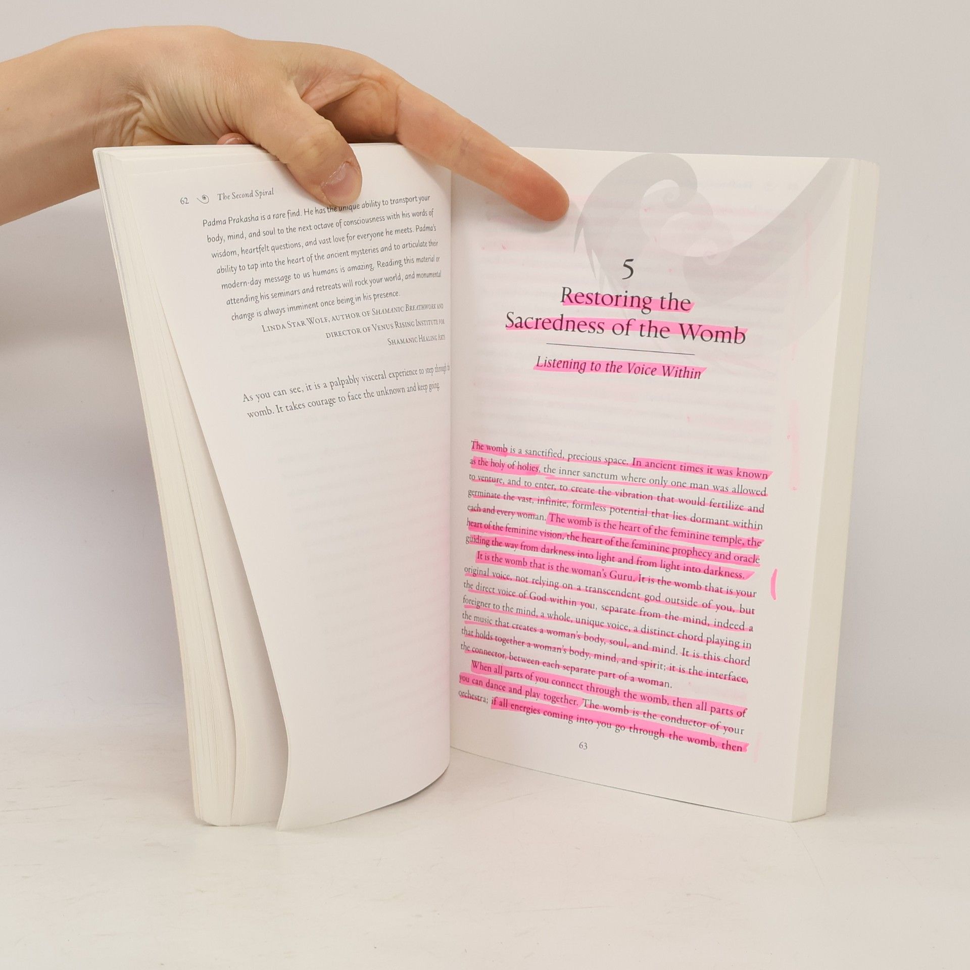 Autorenkollektiv Womb Wisdom: Awakening the creative and Forgotten Power of the Feminine