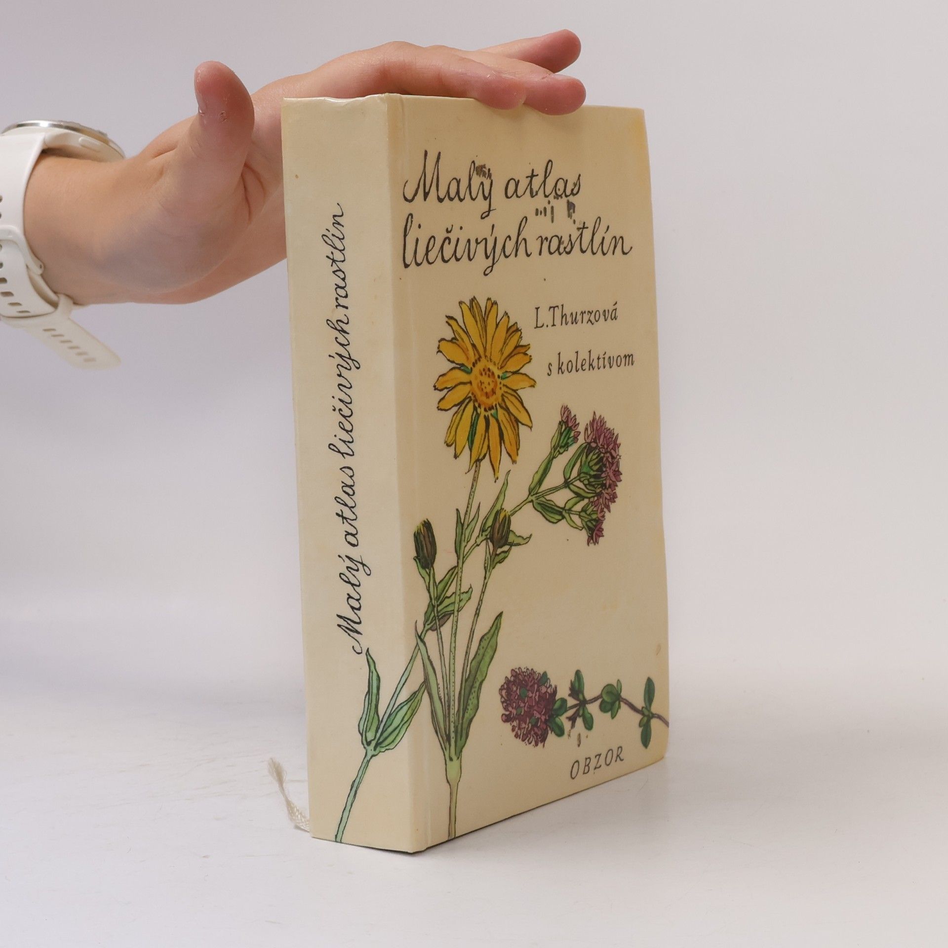 Collectif d'auteurs Malý atlas liečivých rastlin