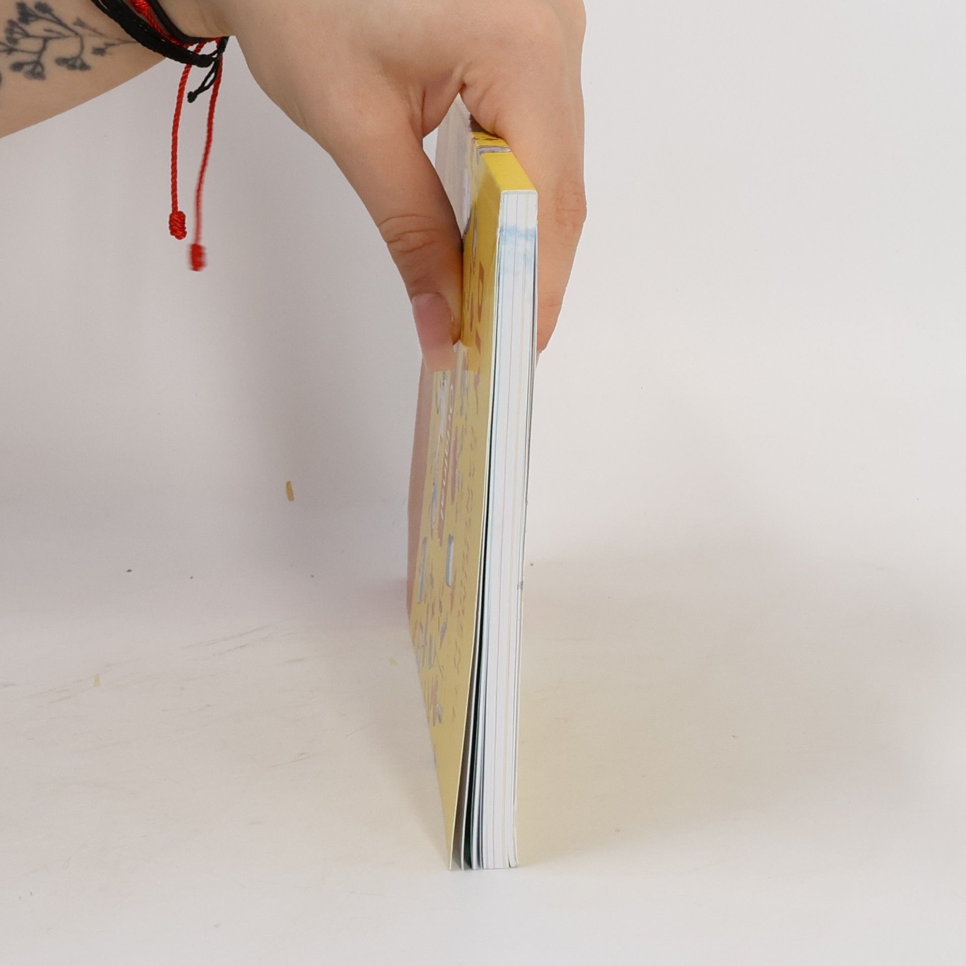 Kolektiv autorů DIY Experimente Hadbuch: Das Original