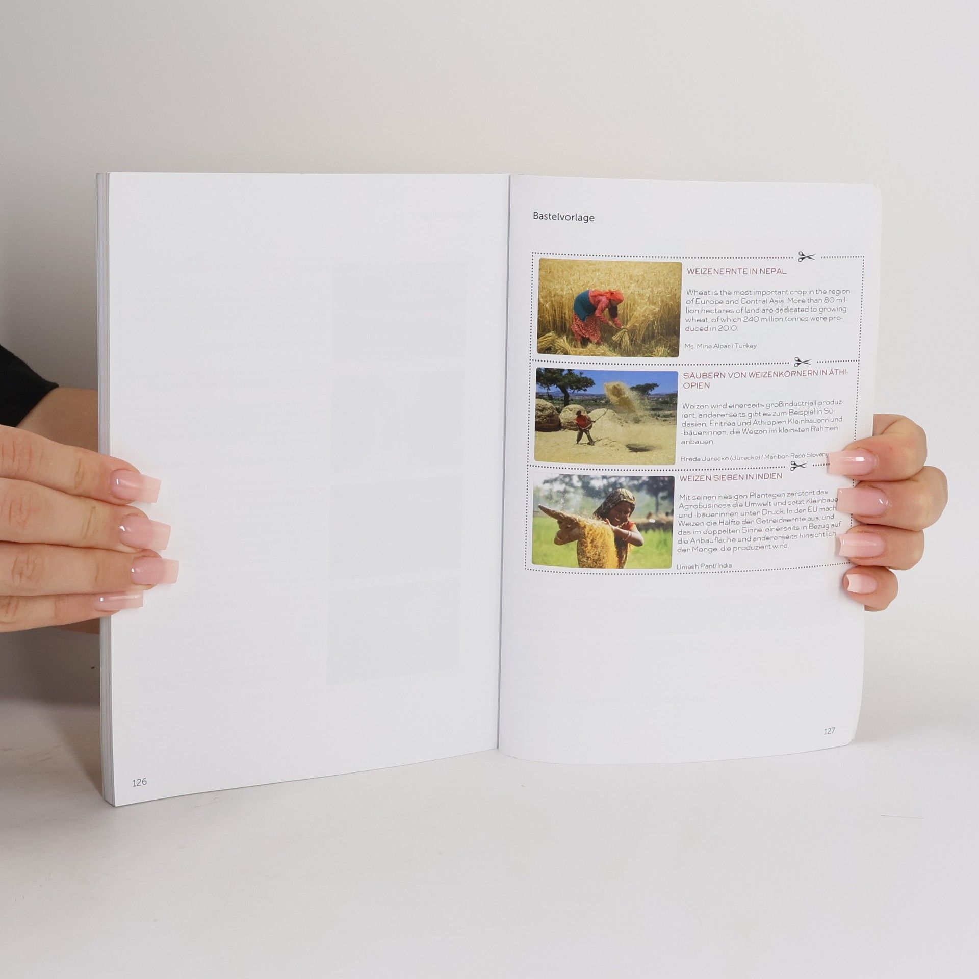 Kolektiv autorů DIY Experimente Hadbuch: Das Original
