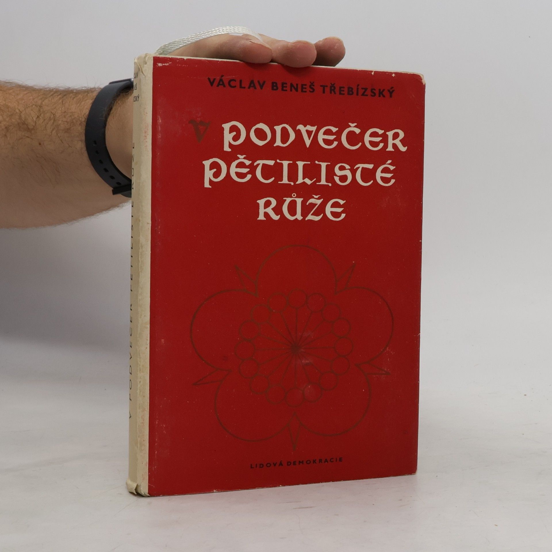 V podvečer pětilisté růže