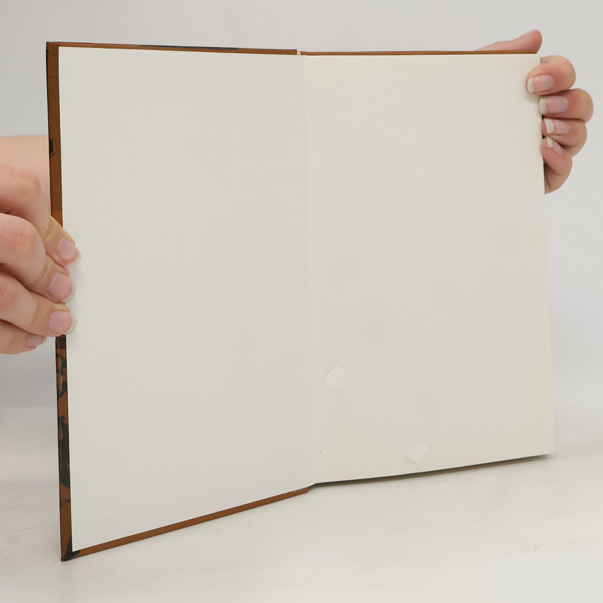 Various authors Komu sluší omluva. Češi a sudetští Němci