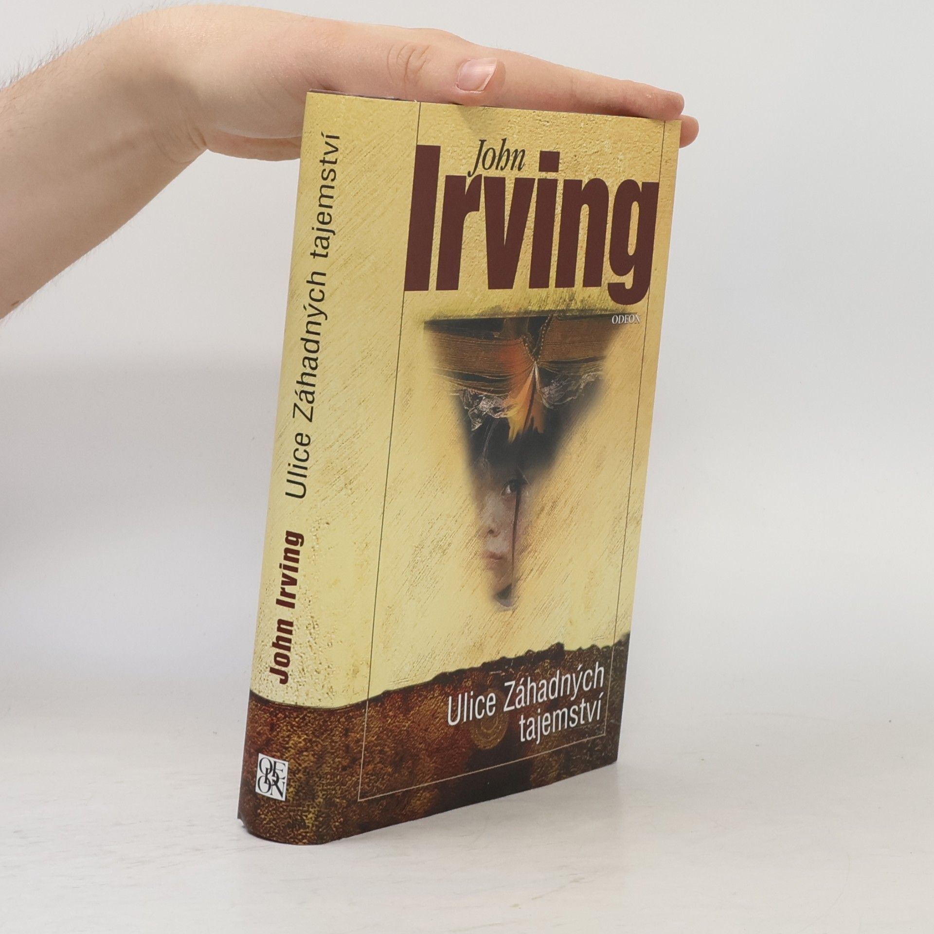 John Irving Ulice Záhadných tajemství