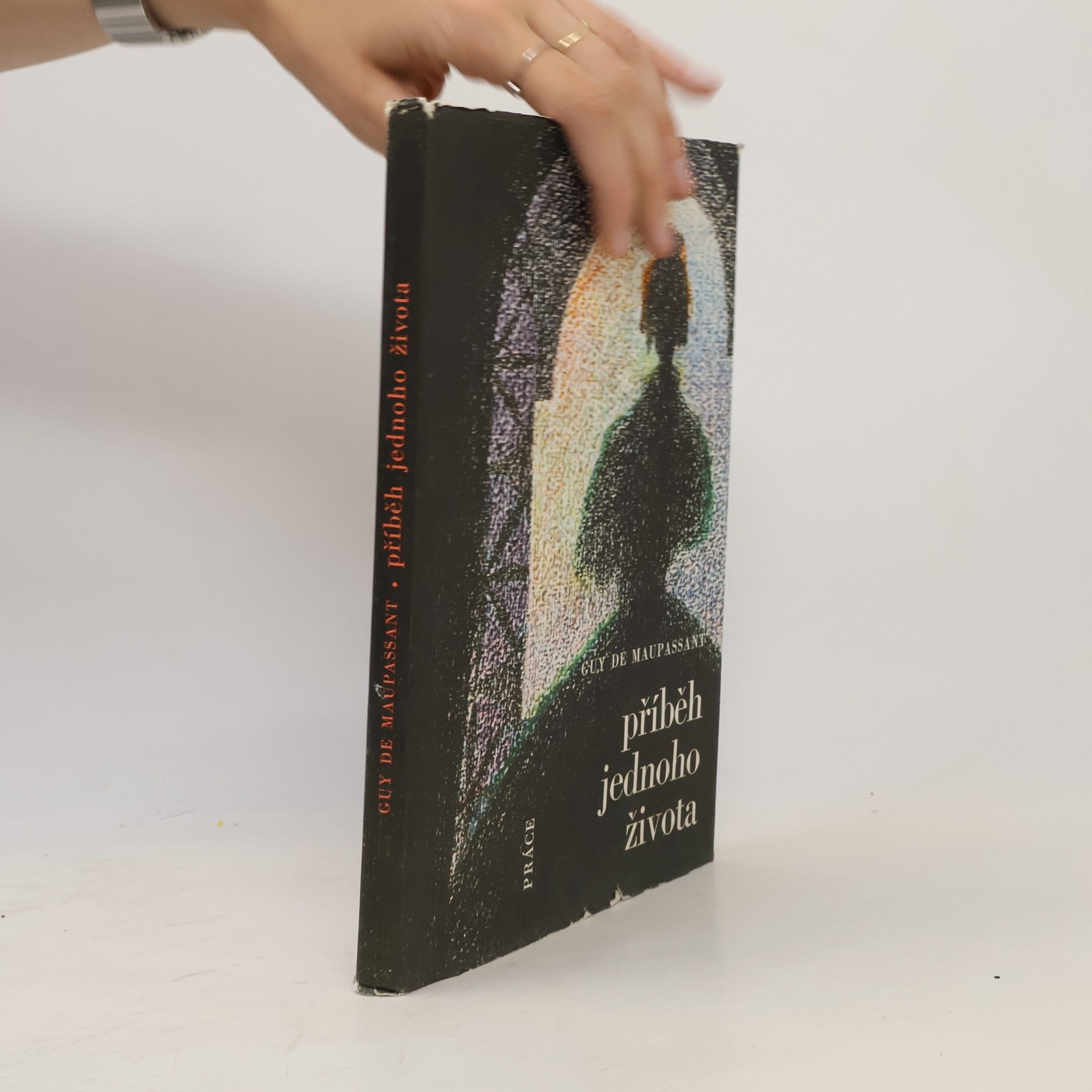 Guy de Maupassant Příběh jednoho života
