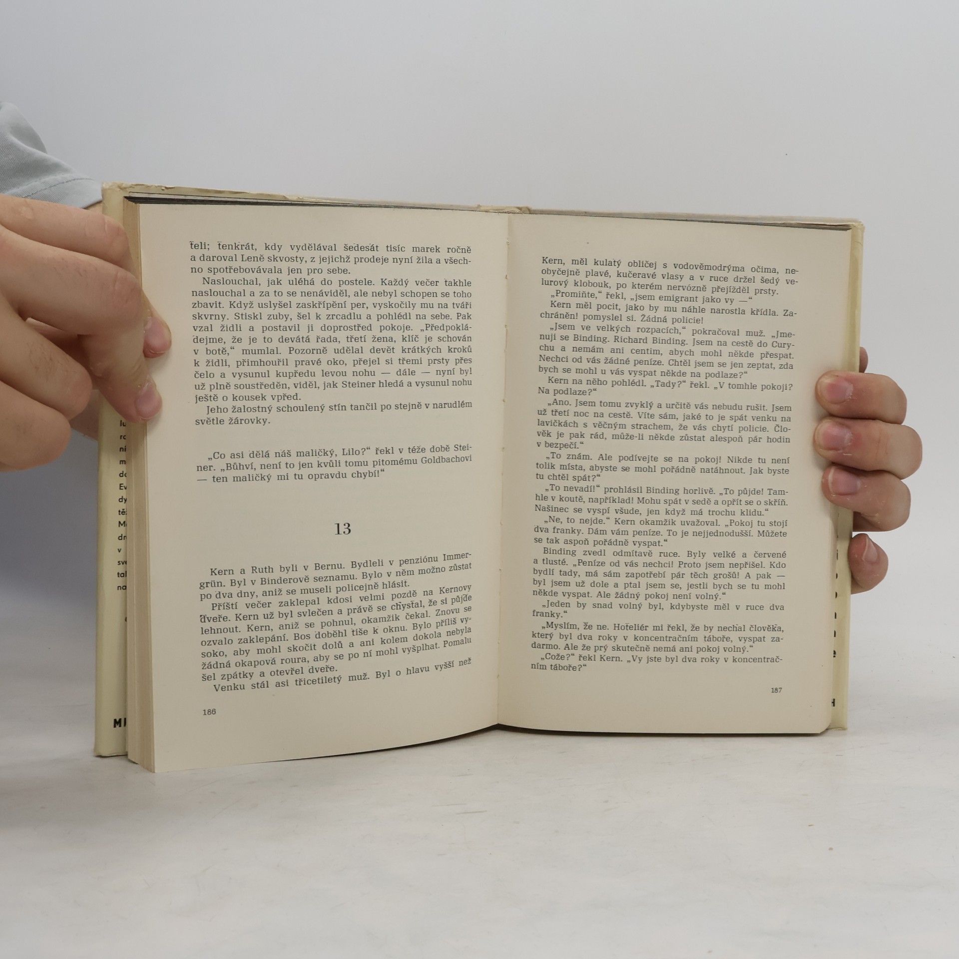Erich Maria Remarque Miluj bližního svého