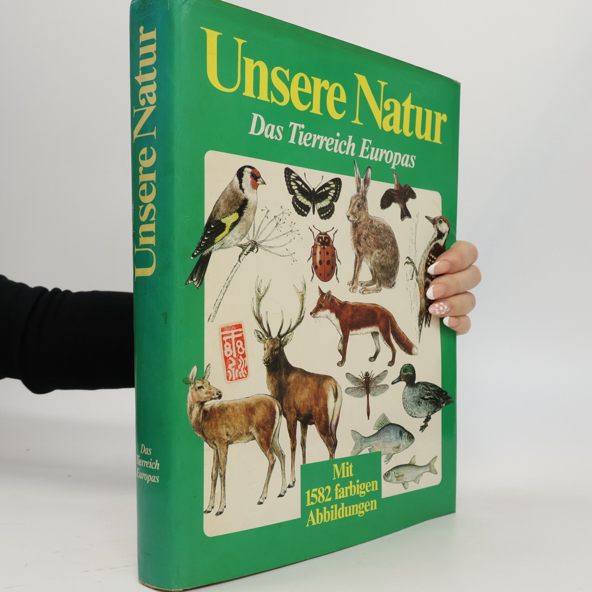 Collectif d'auteurs Unsere Natur. Das Tierreich Europas