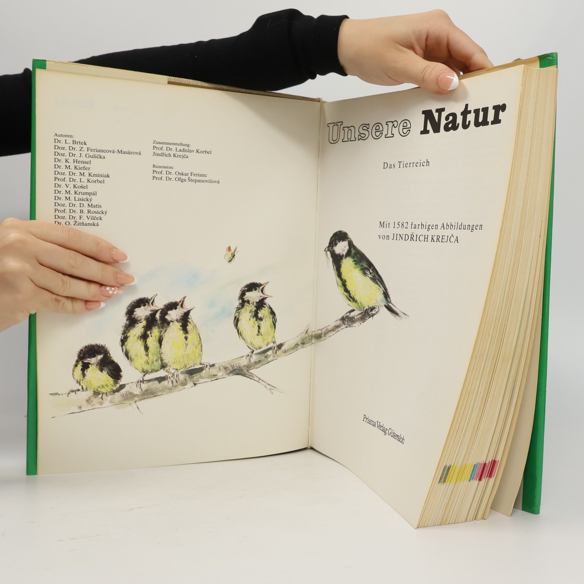 Collectif d'auteurs Unsere Natur. Das Tierreich Europas