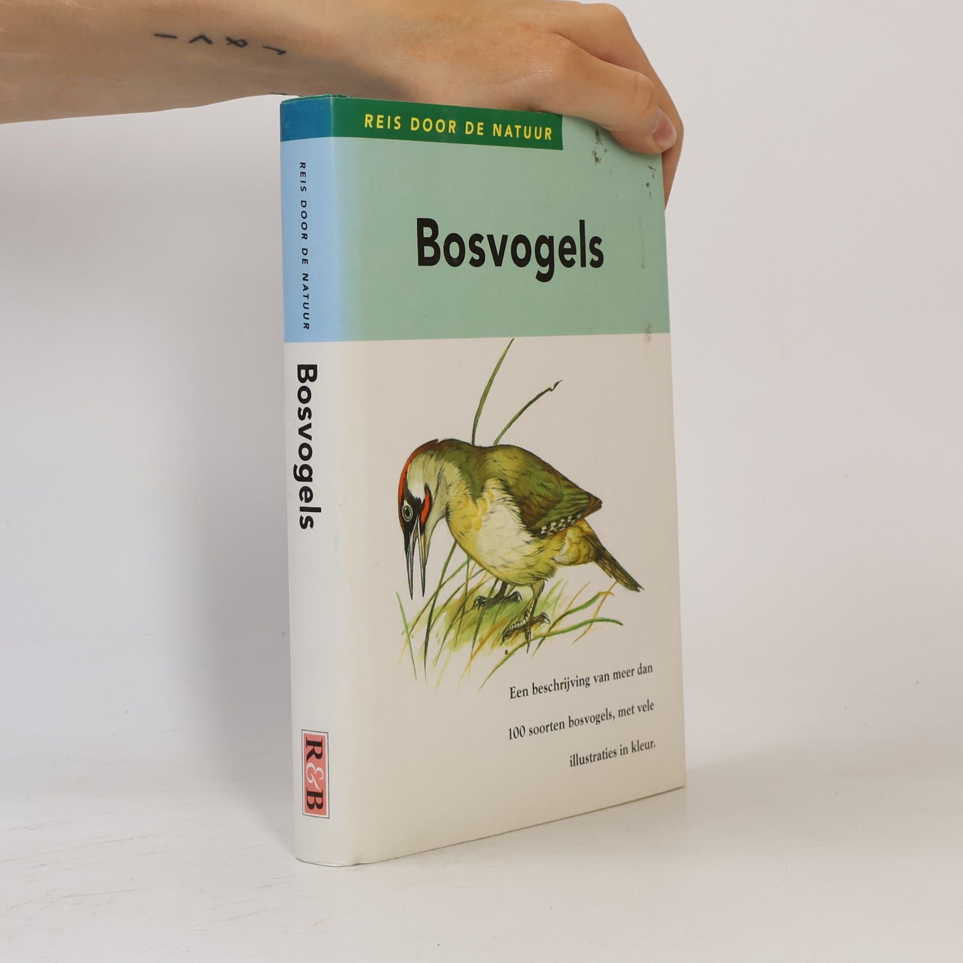 Reis door de natuur: Bosvogels