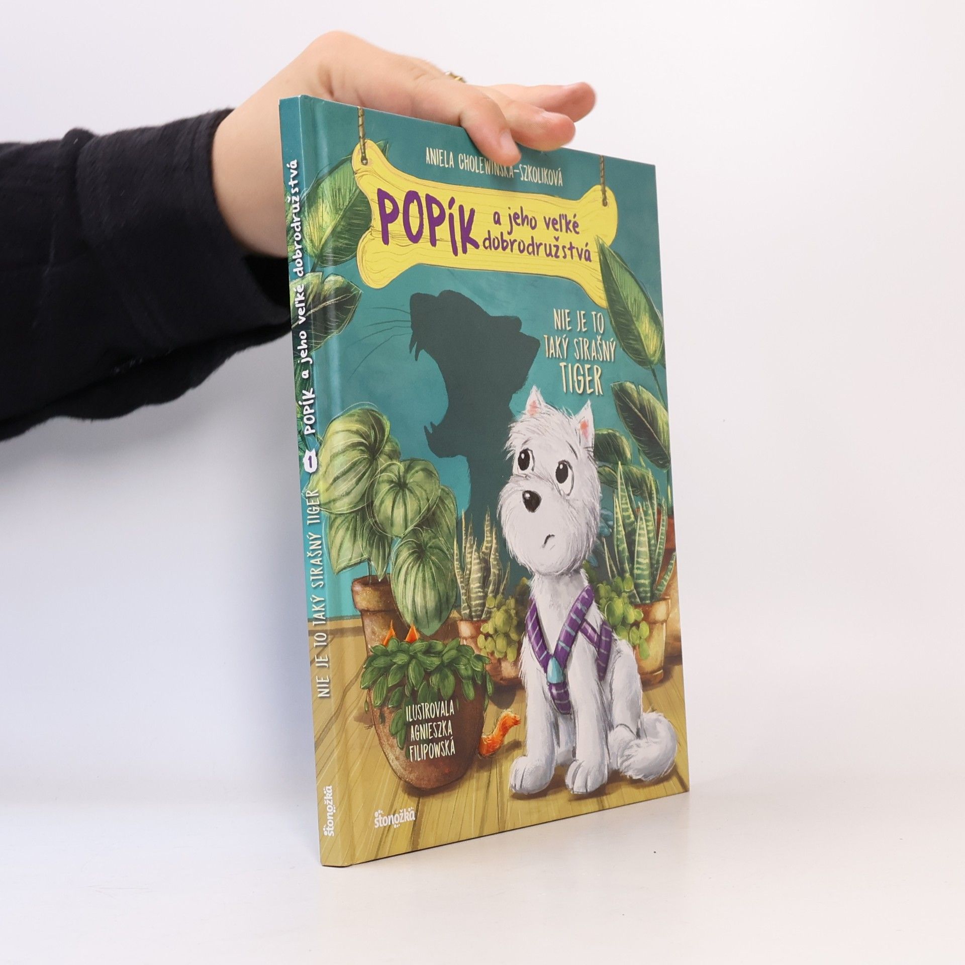 Aniela Cholewińska-Szkolik Popík a jeho veľké dobrodružstvá