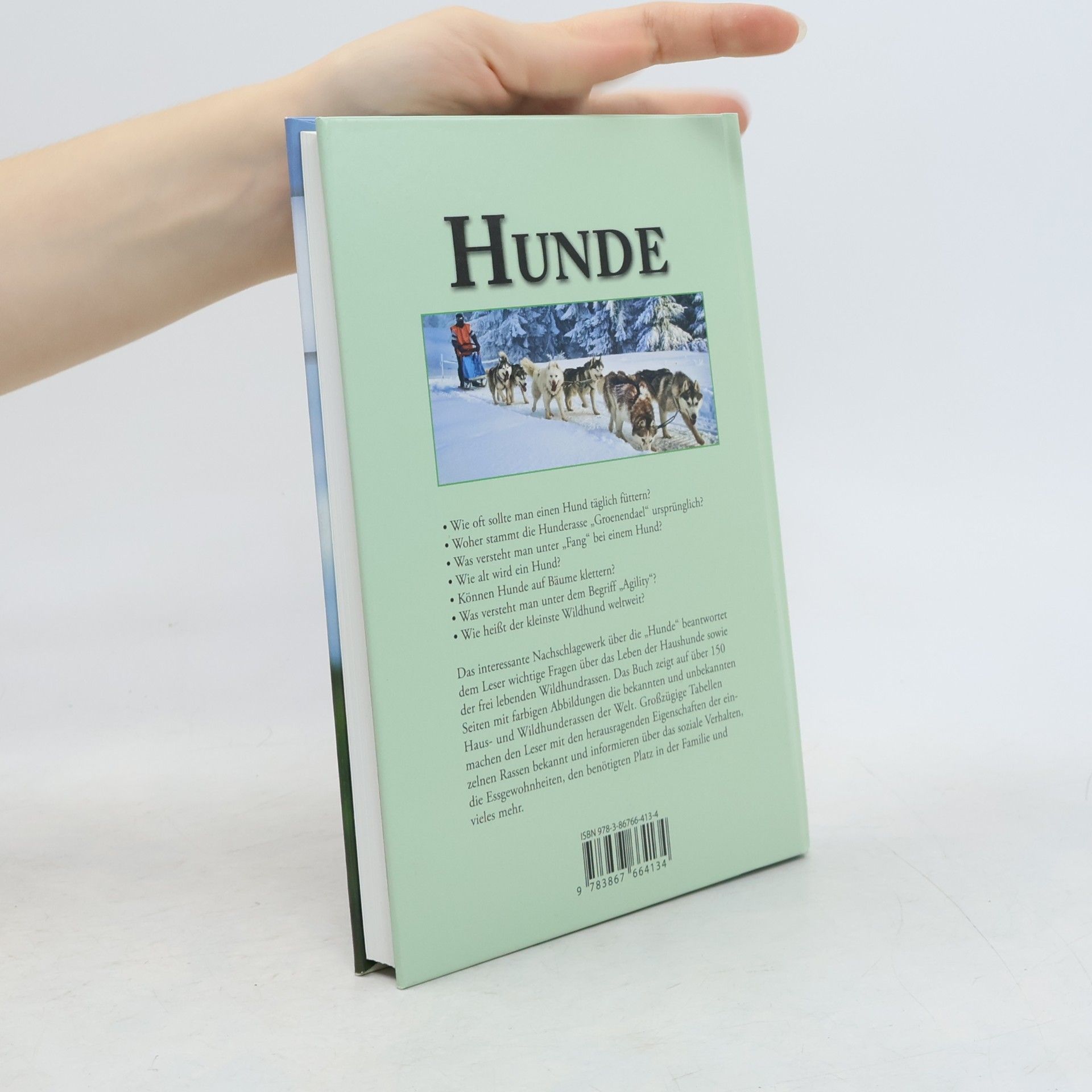 Hunde