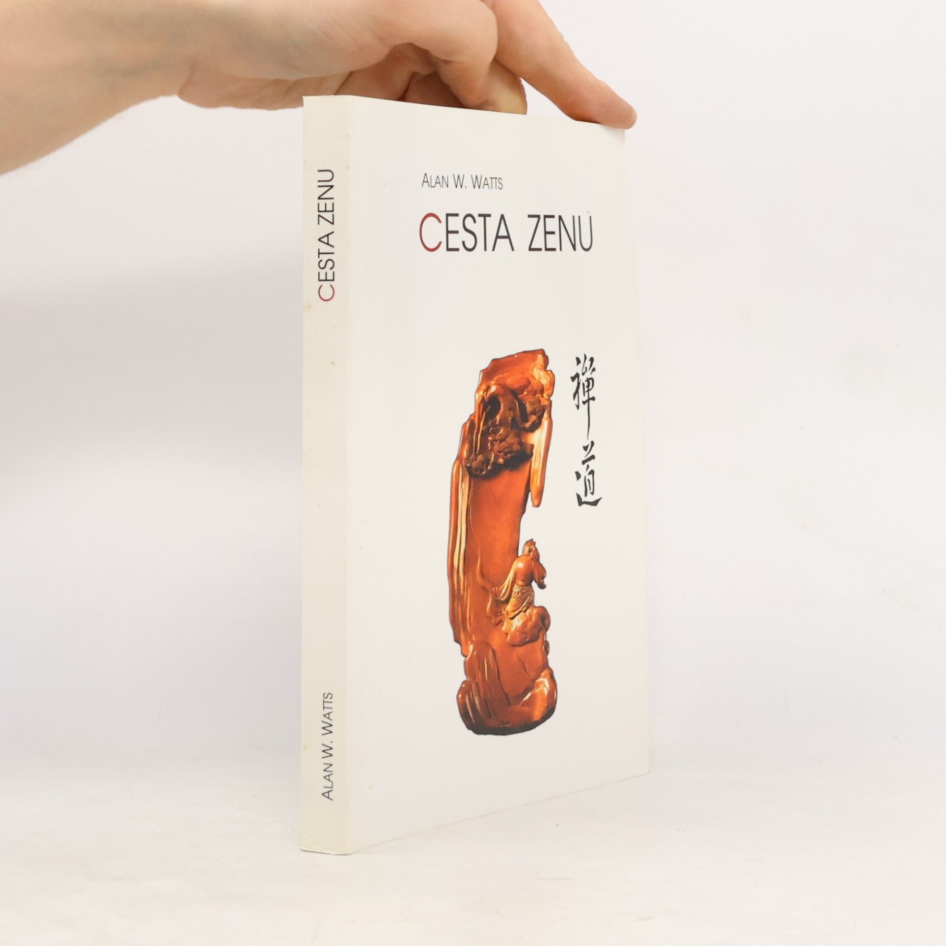 Alan Watts Cesta zenu