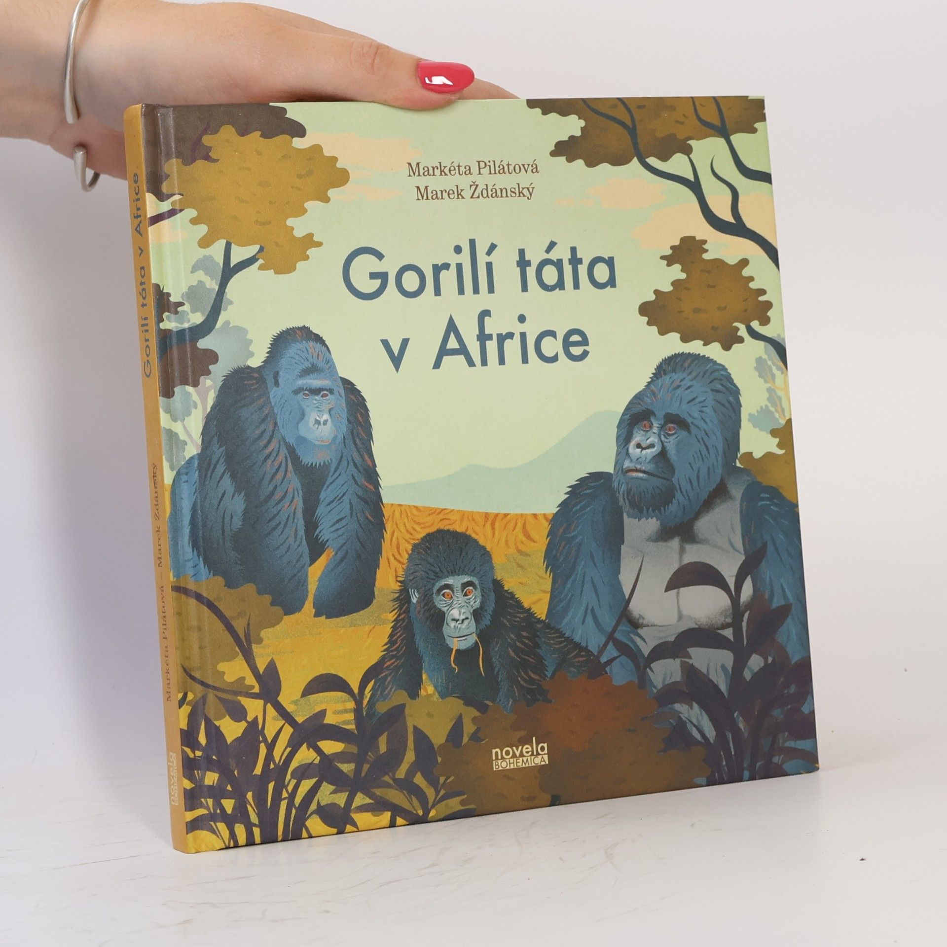Gorilí táta v Africe