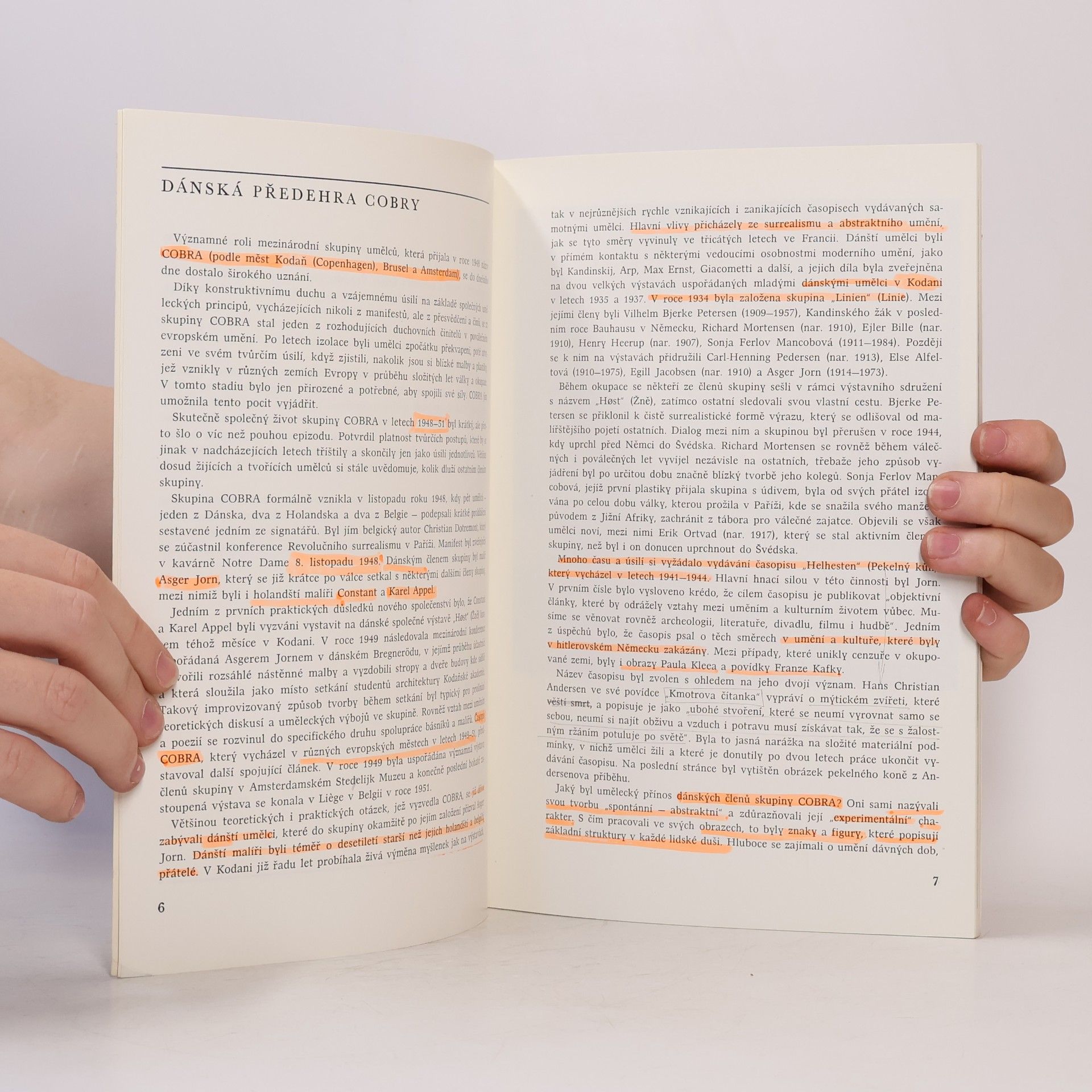 Collectif d'auteurs Dánští umělci ze skupiny Cobra
