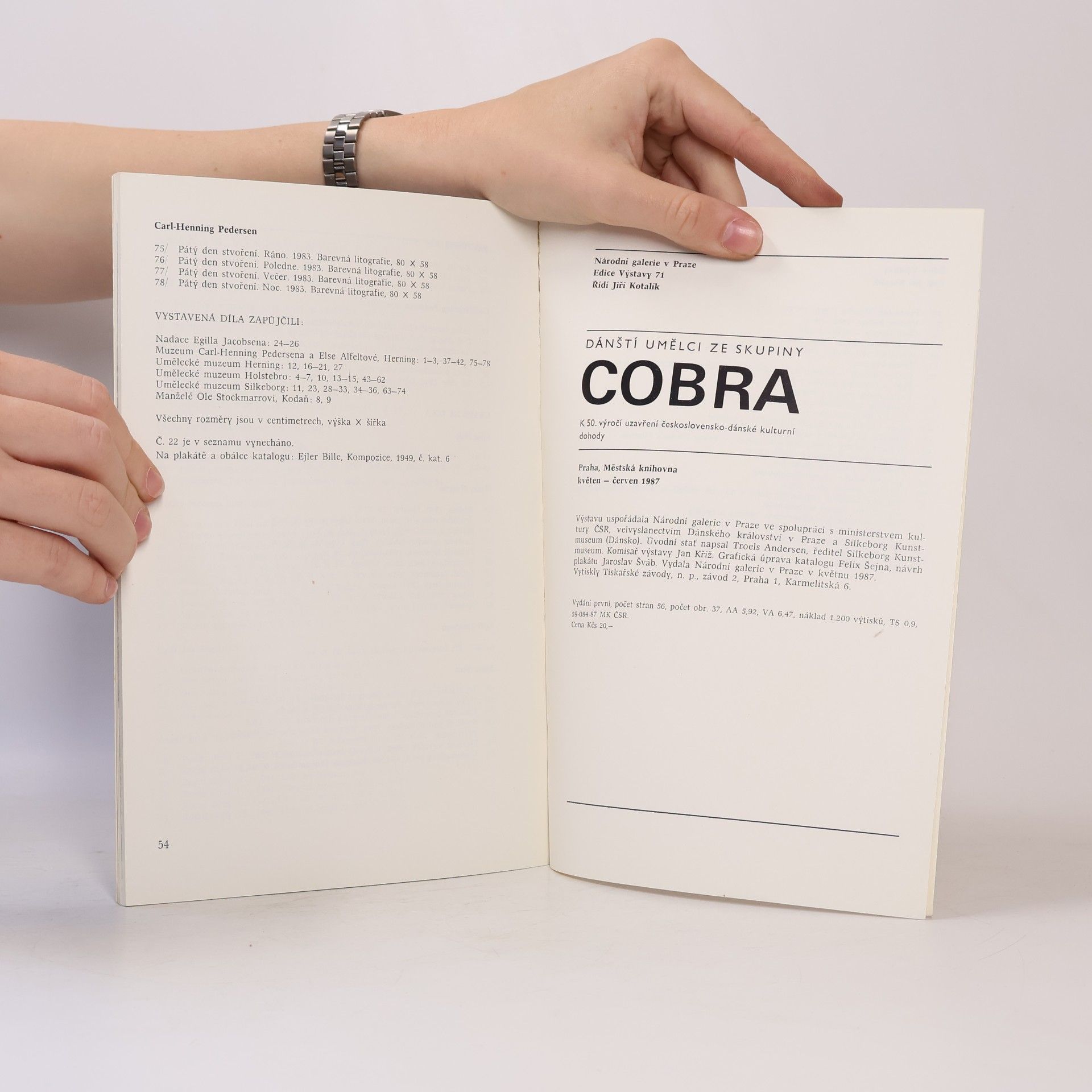 Collectif d'auteurs Dánští umělci ze skupiny Cobra