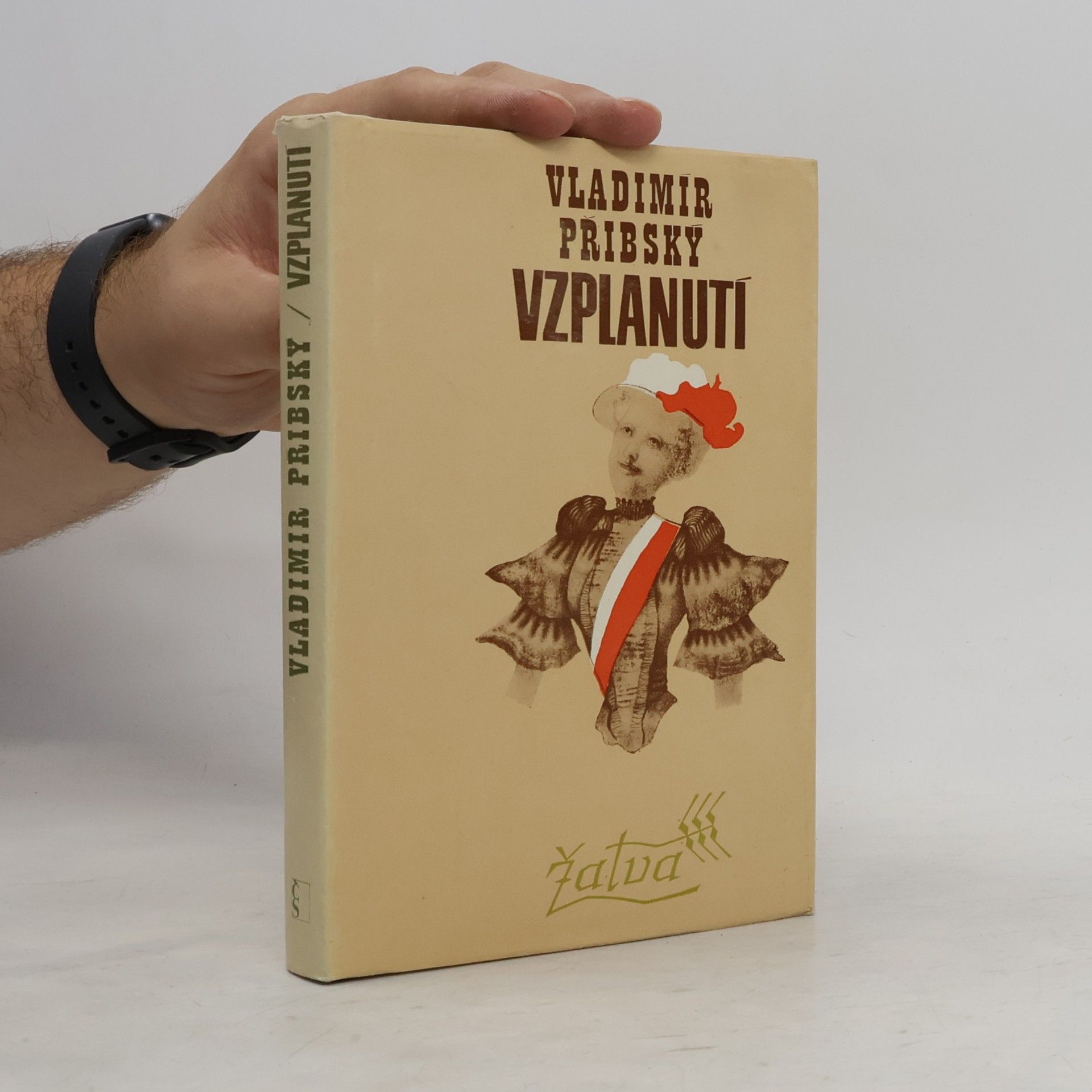 Vladimír Přibský Vzplanutí