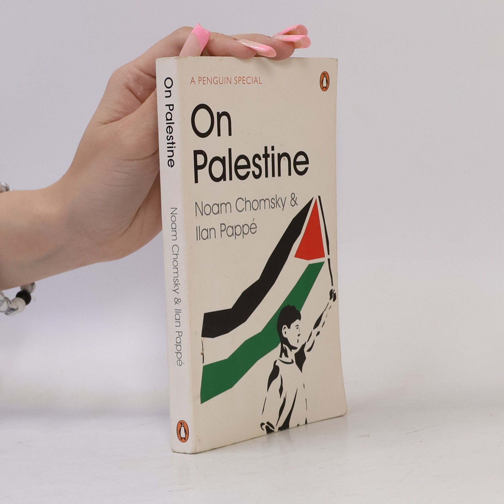Noam Chomsky On Palestine