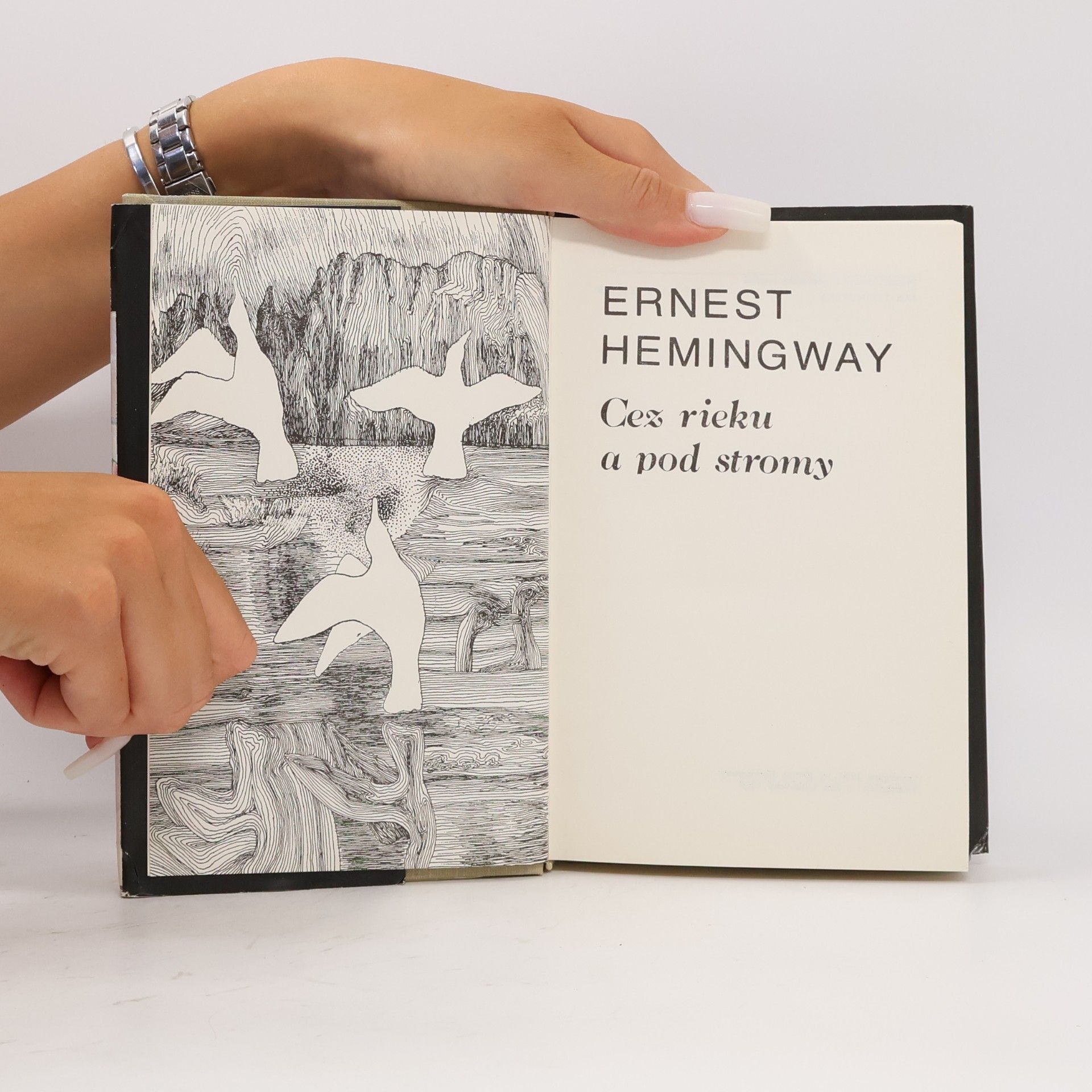 Ernest Hemingway Cez rieku a pod stromy