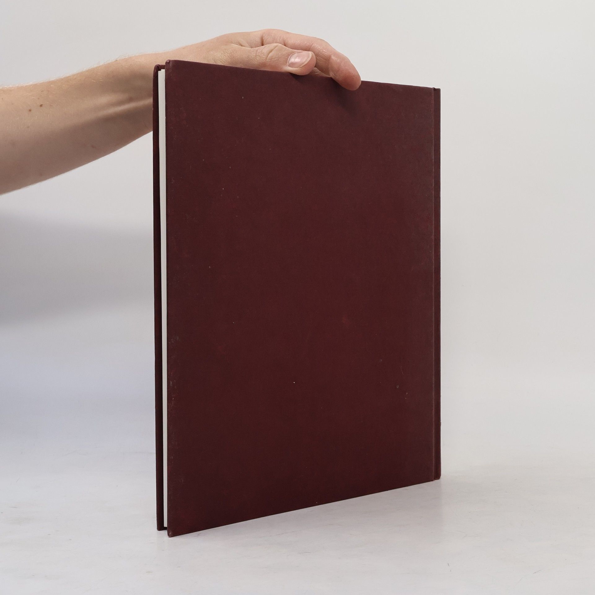 Neil MacGregor The History of the World in 100 Objects
