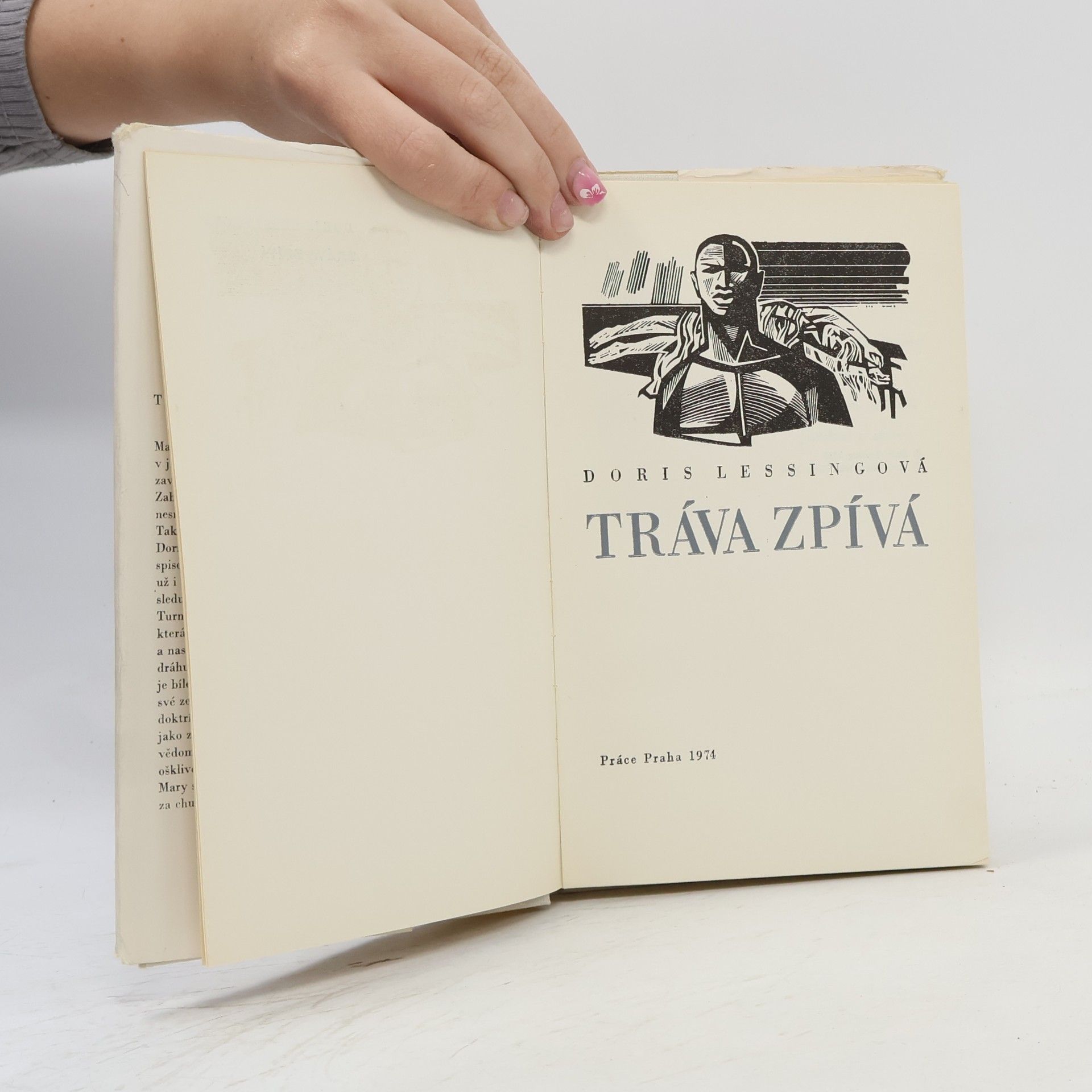 Doris Lessing Tráva zpívá