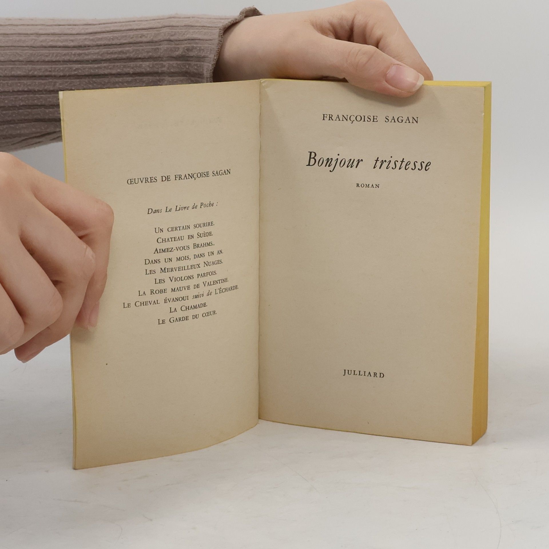 Françoise Saganová Bonjour Tristesse