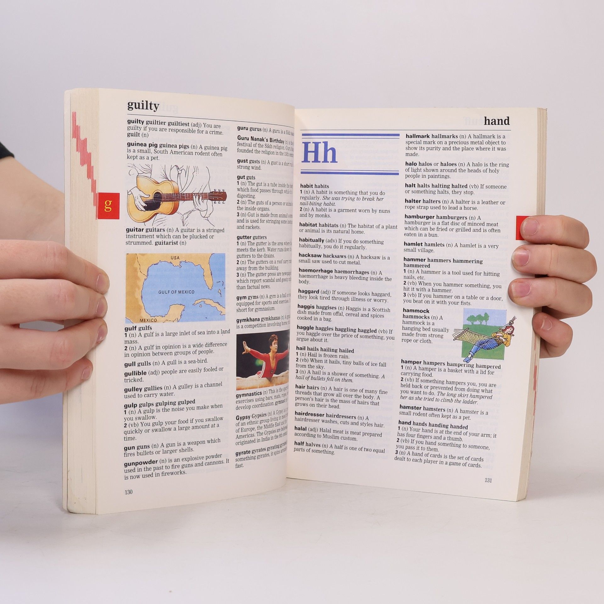Ginny Lapage Junior English Dictionary