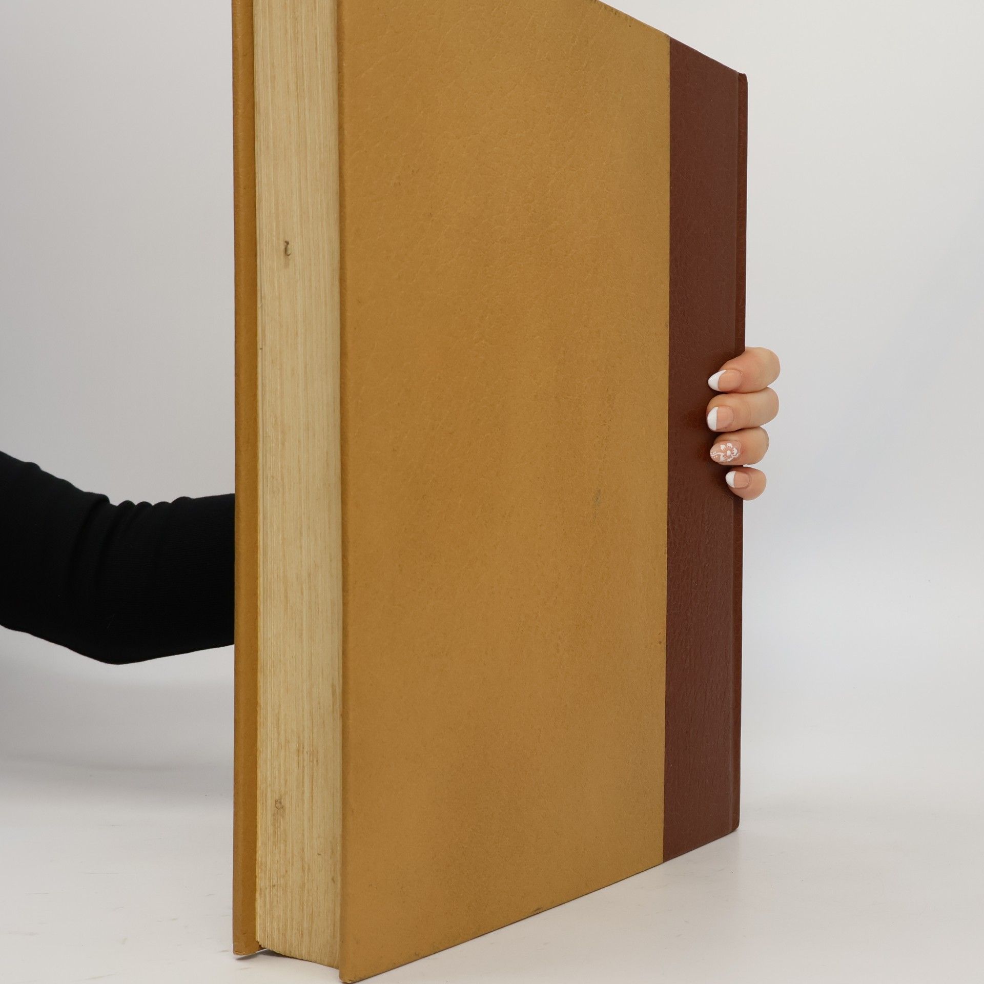 AA.VV. Encyklopedia Motta VI.