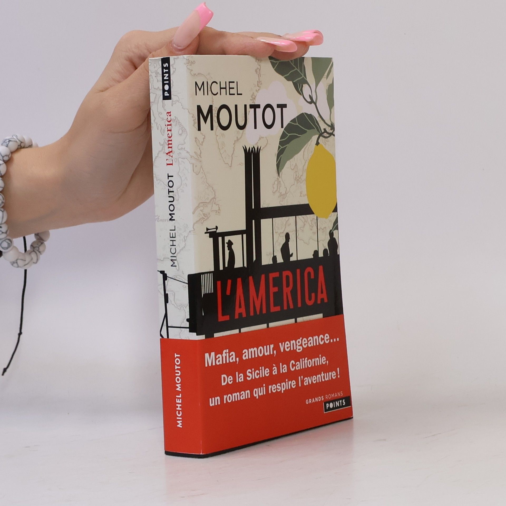 Michel Moutot L'America